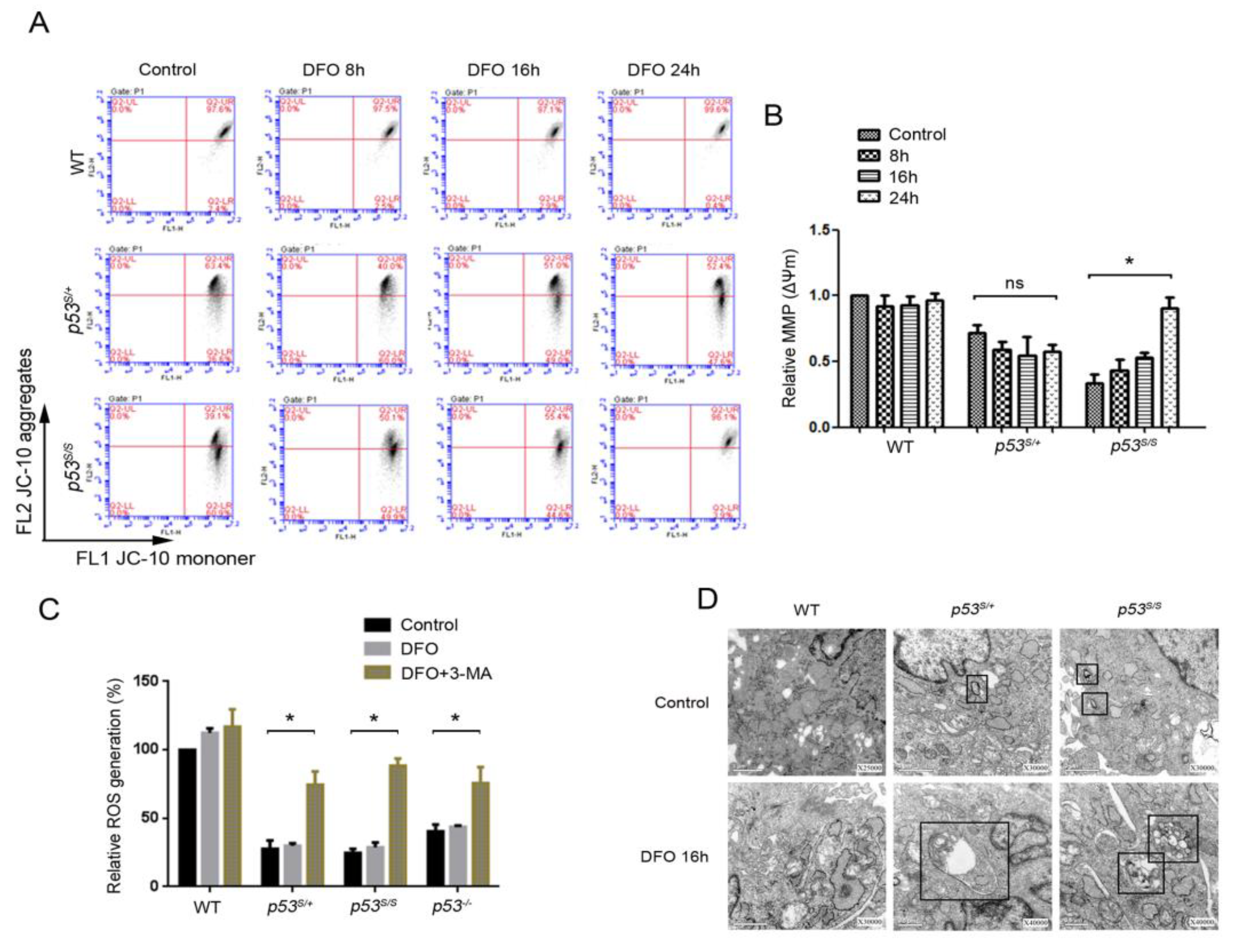 Genes 13 00763 g004 Genes 13 00763 g004
