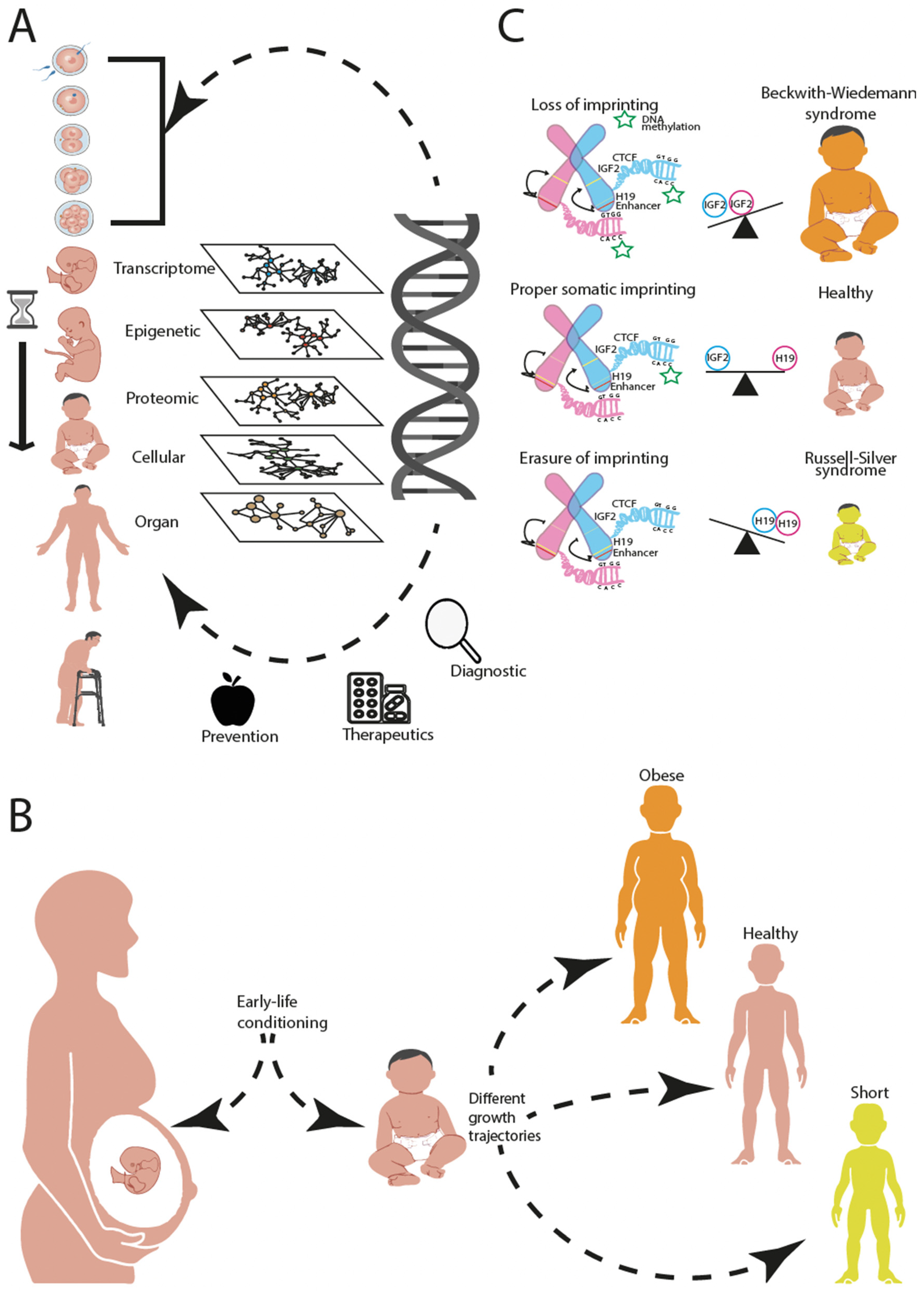 Genes 13 00764 g001