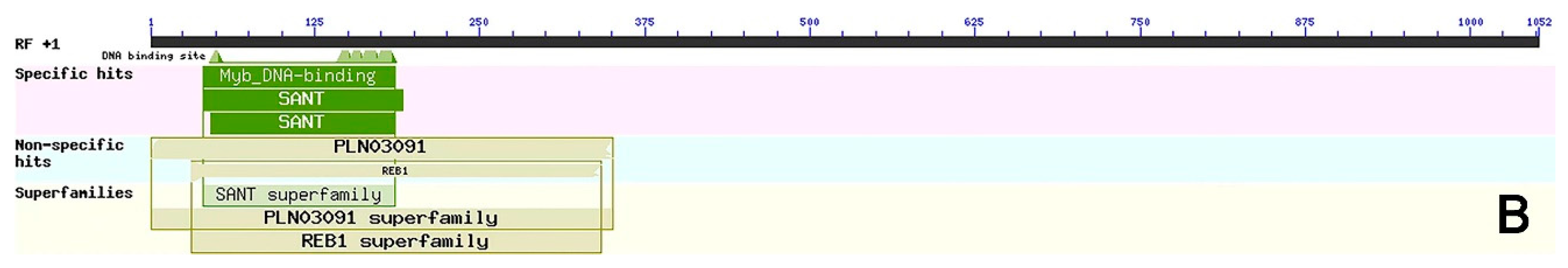 Genes 13 00779 g001b