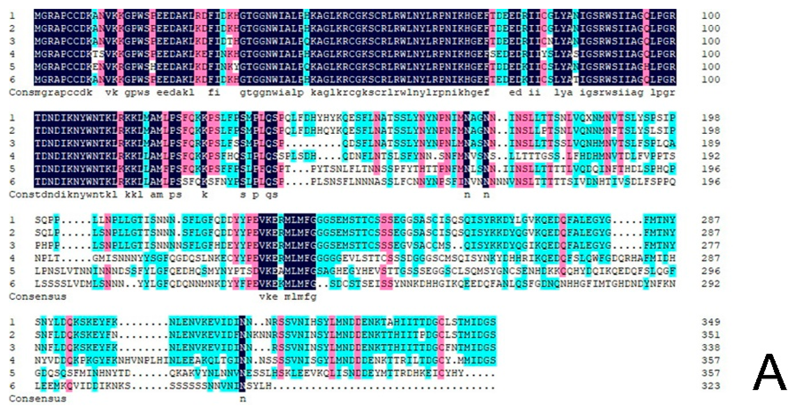 Genes 13 00779 g002a