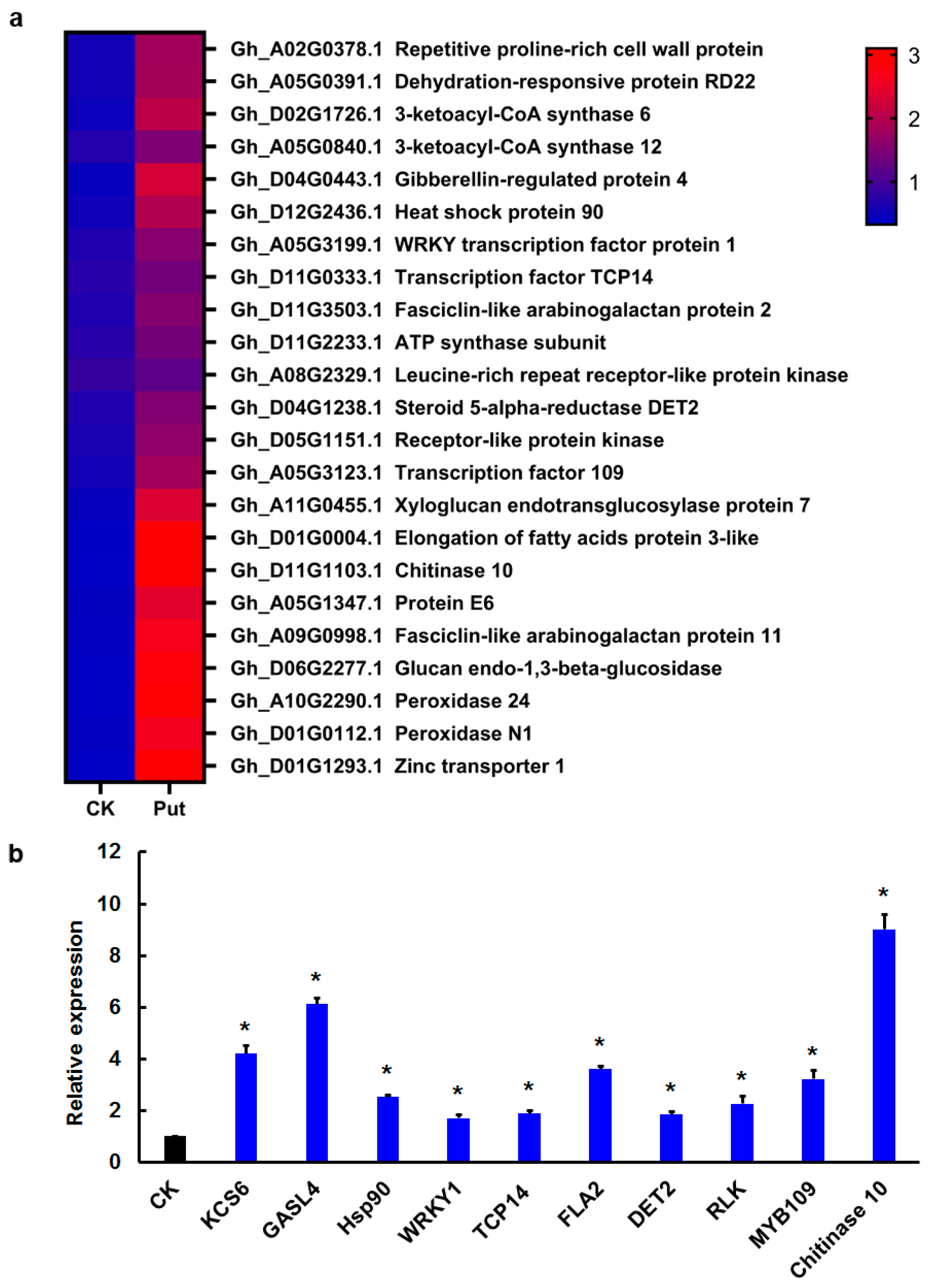 Genes 13 00784 g004
