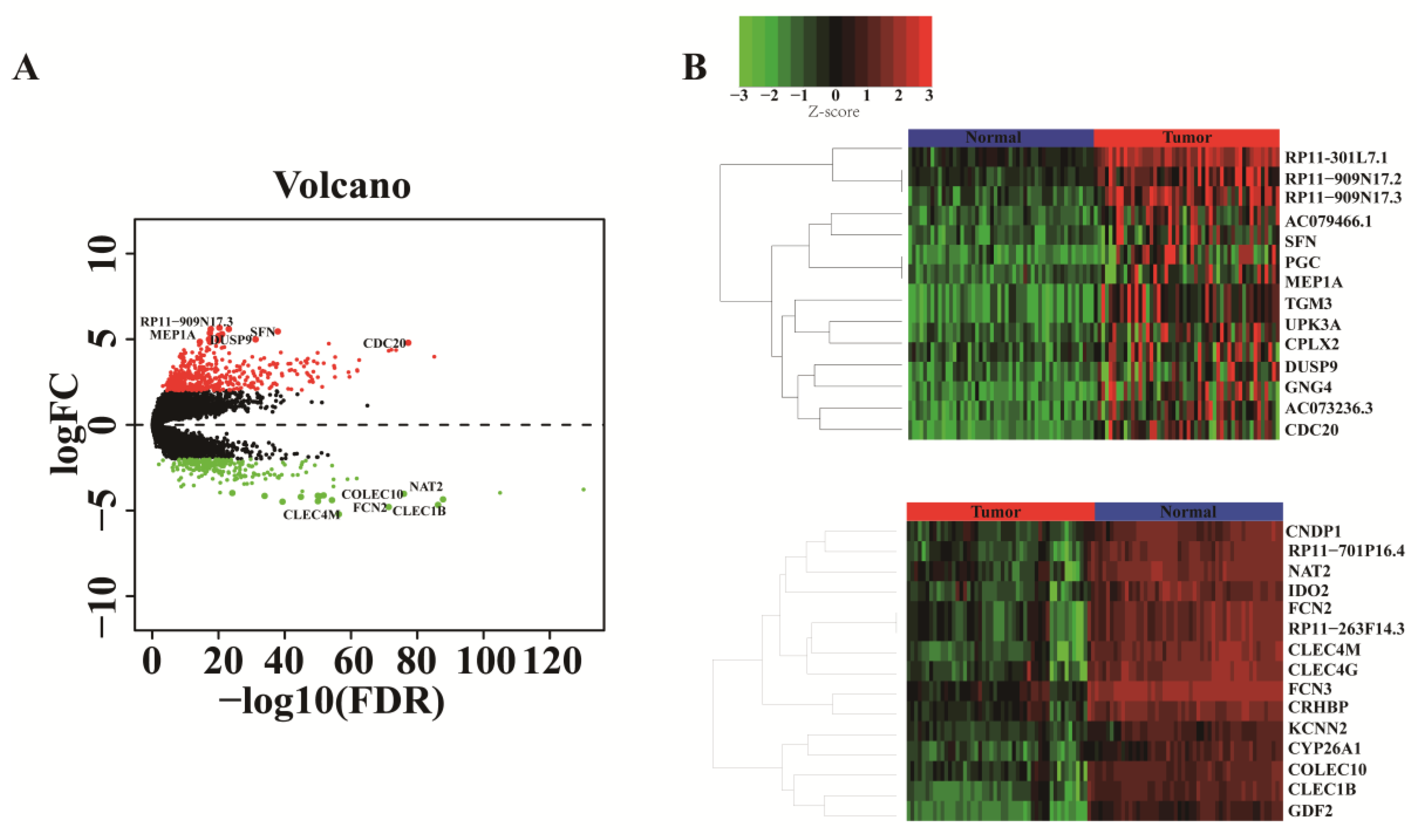Genes 13 00785 g002 Genes 13 00785 g002