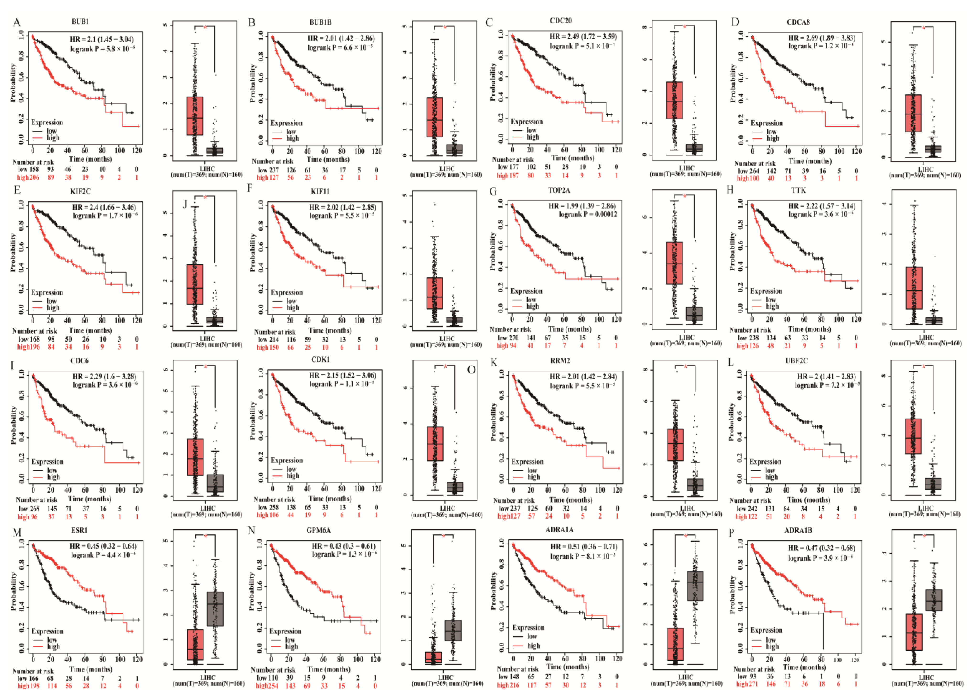 Genes 13 00785 g005 Genes 13 00785 g005