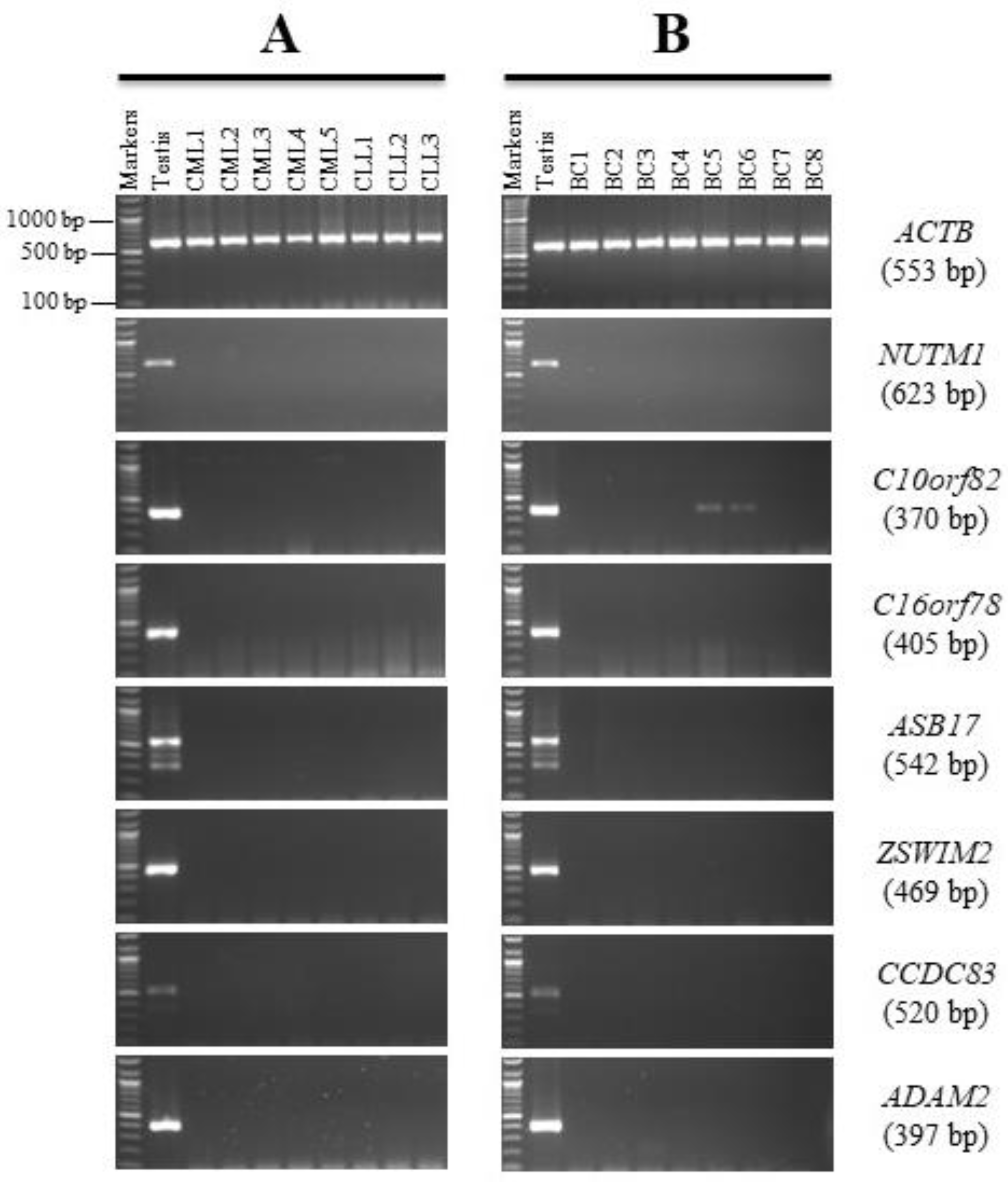 Genes 13 00807 g005 Genes 13 00807 g005