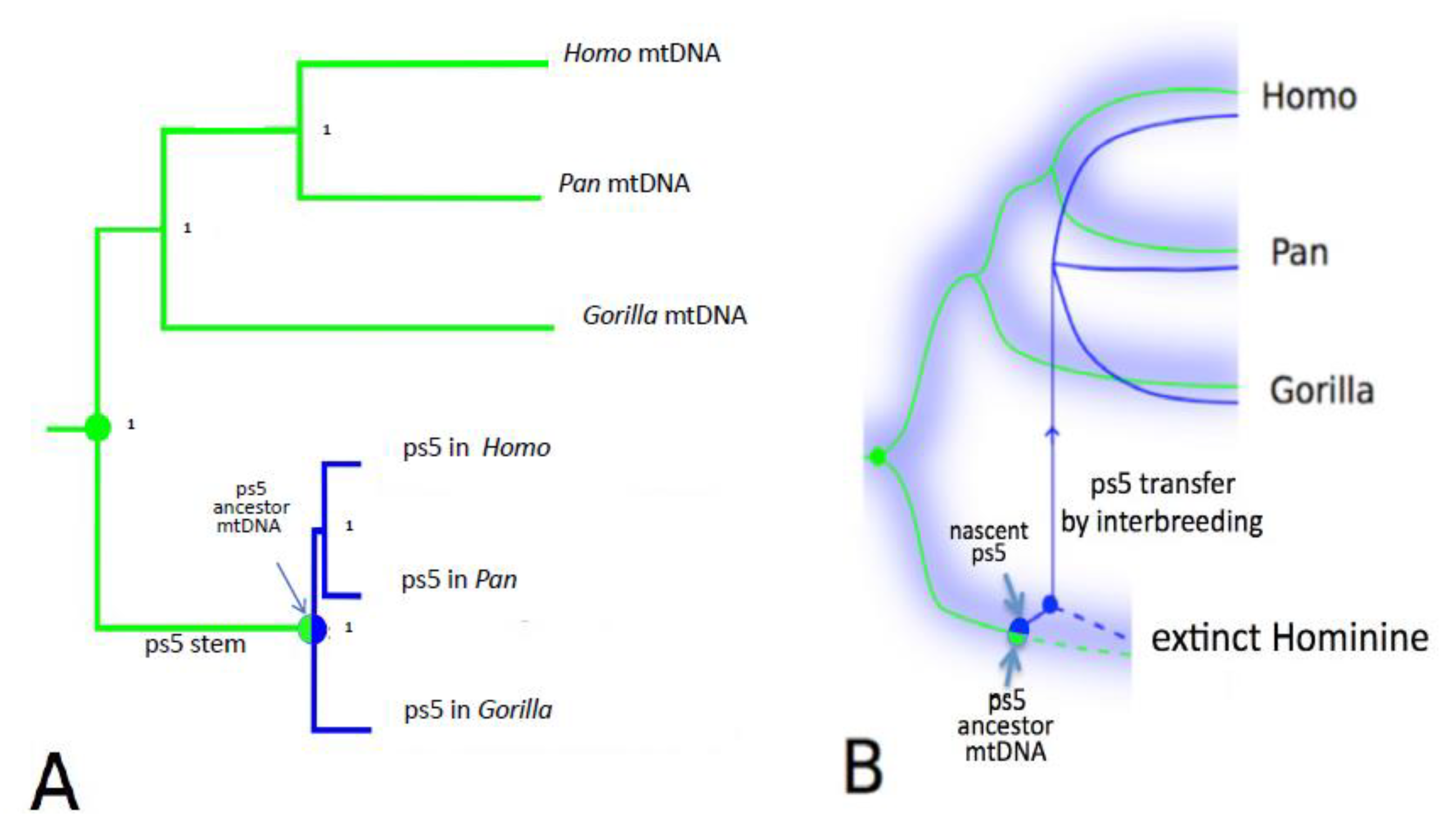 Genes 13 00810 g001