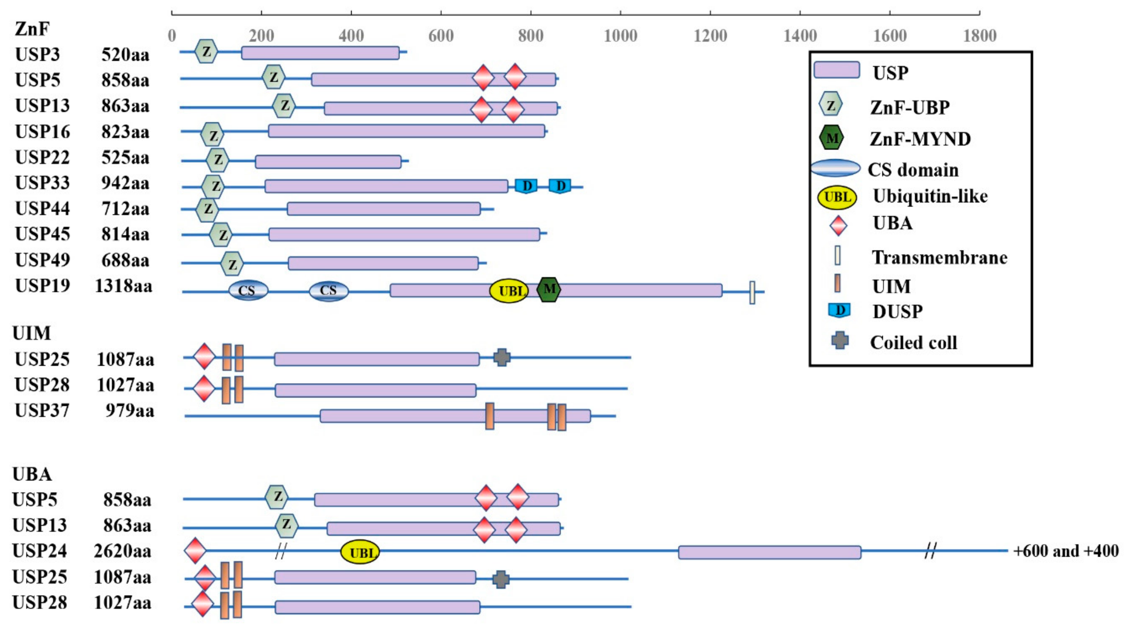 Genes 13 00831 g001 Genes 13 00831 g001