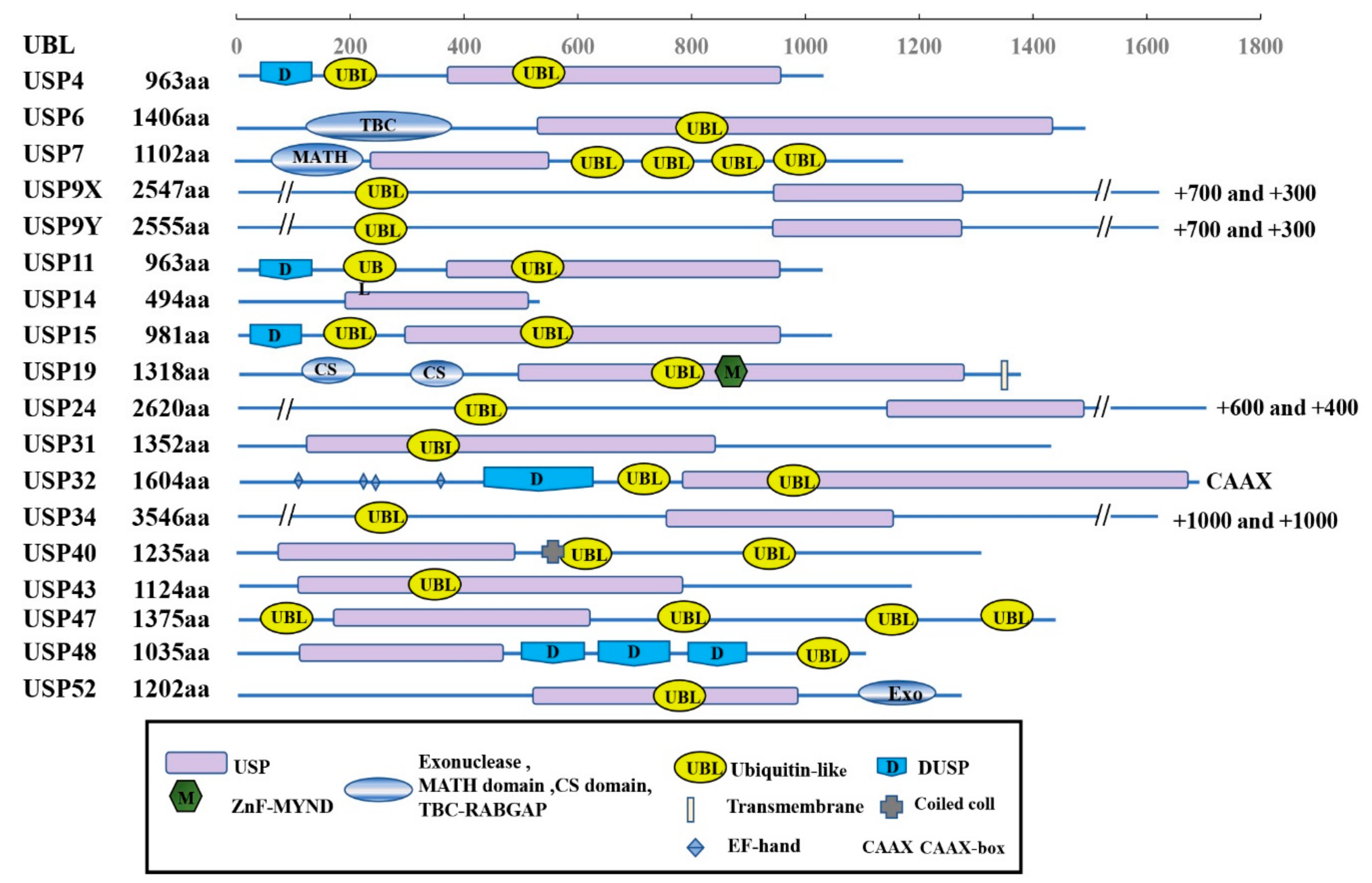 Genes 13 00831 g002 Genes 13 00831 g002