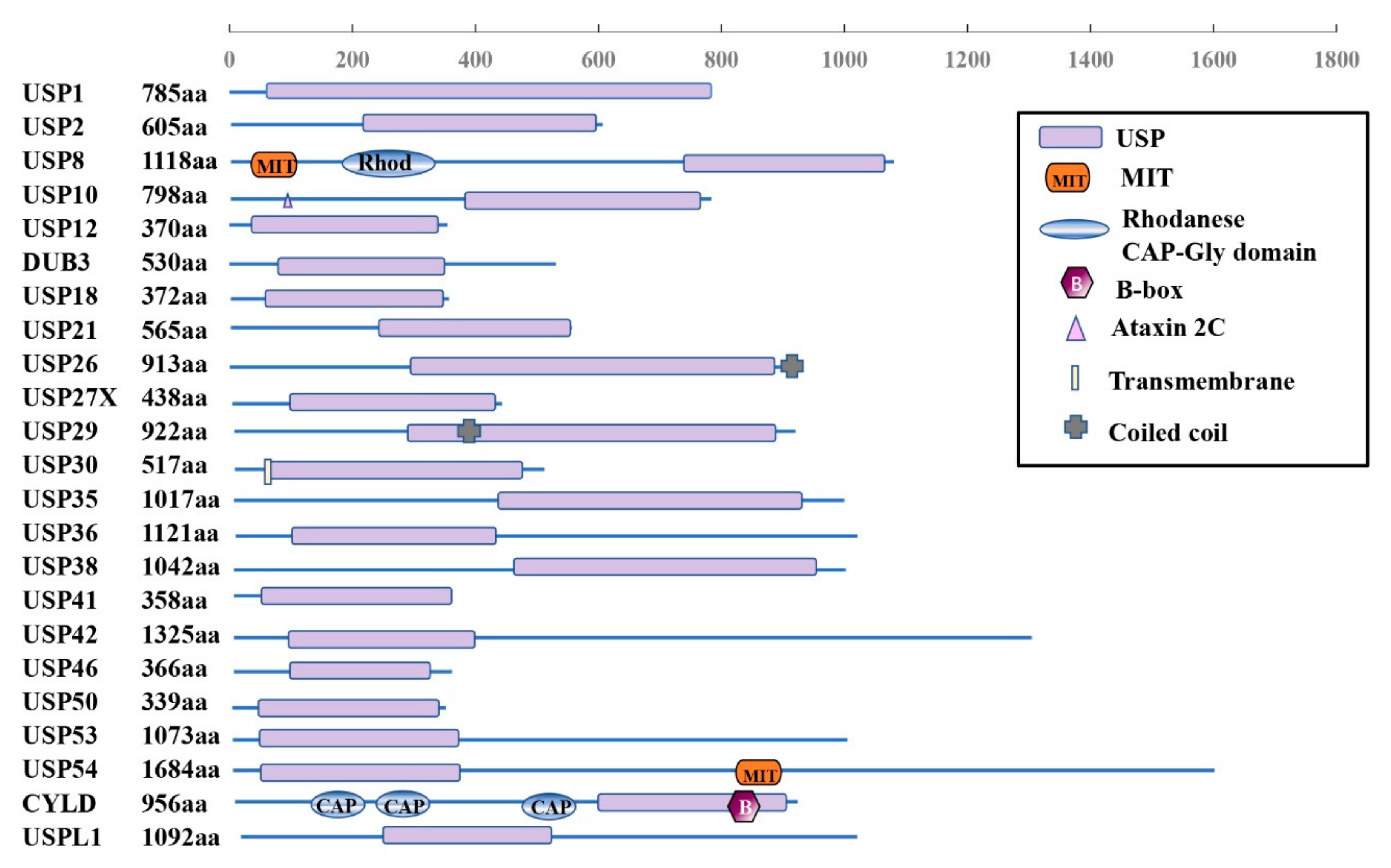 Genes 13 00831 g003 Genes 13 00831 g003