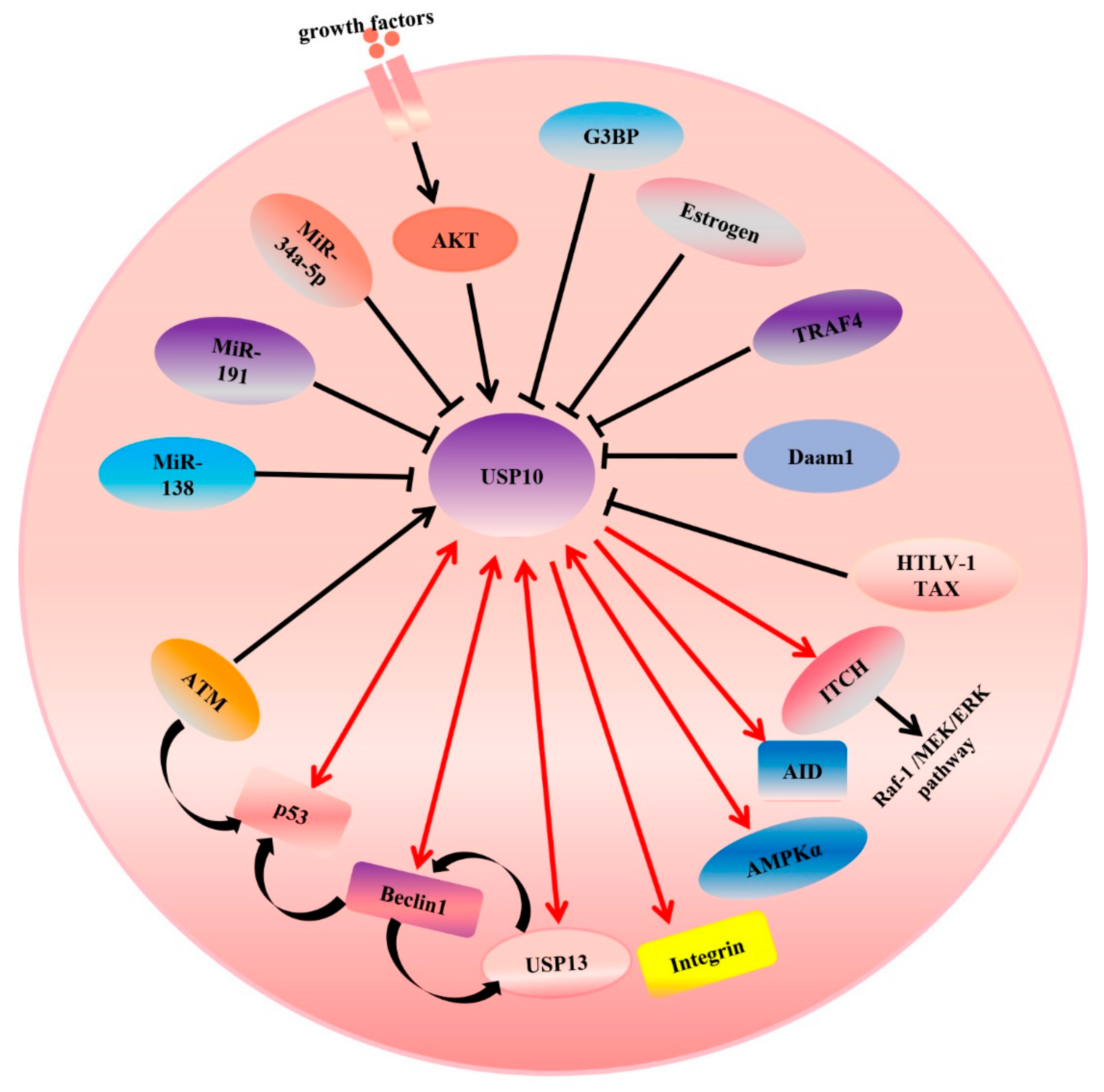 Genes 13 00831 g004 Genes 13 00831 g004
