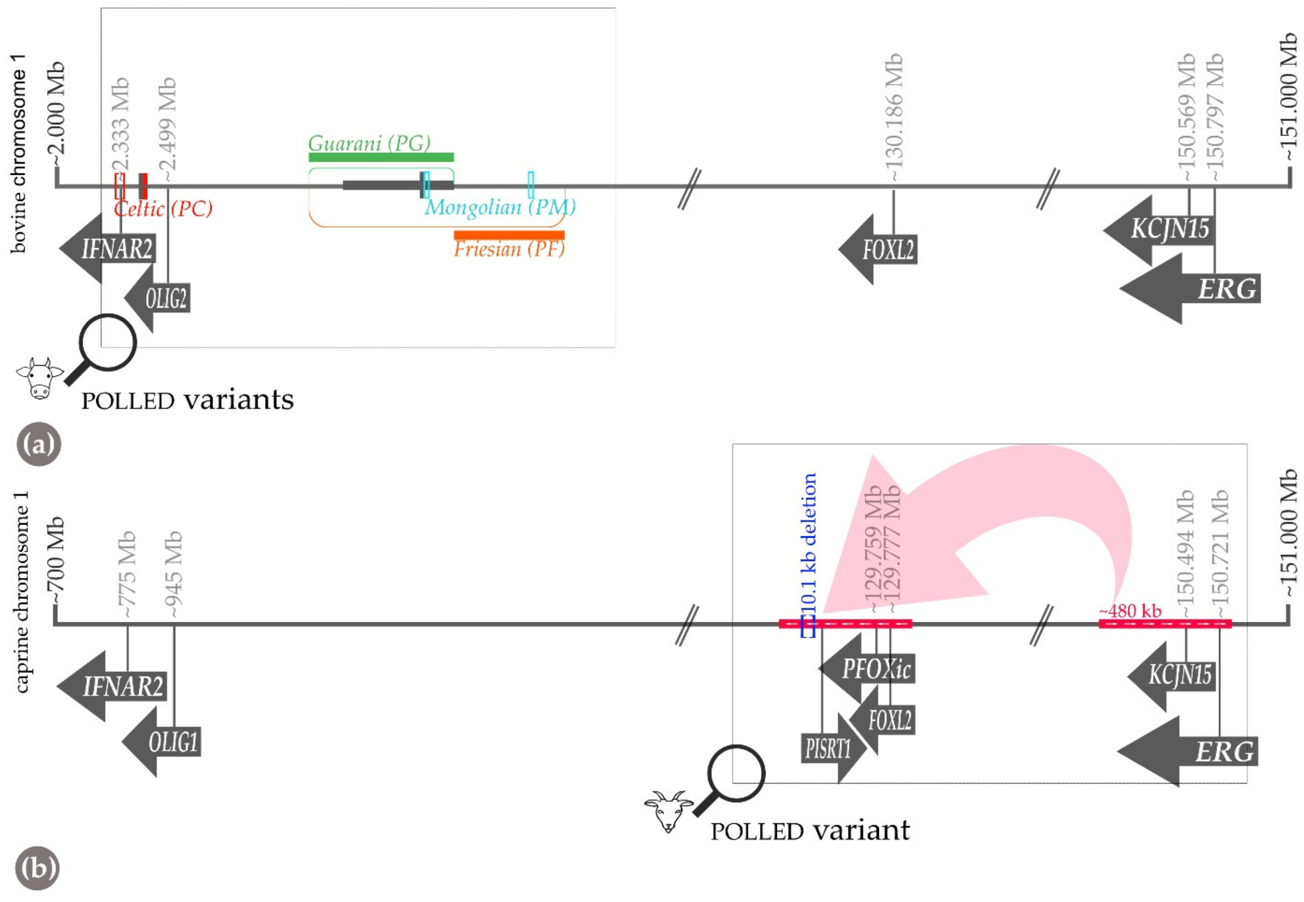 Genes 13 00832 g003