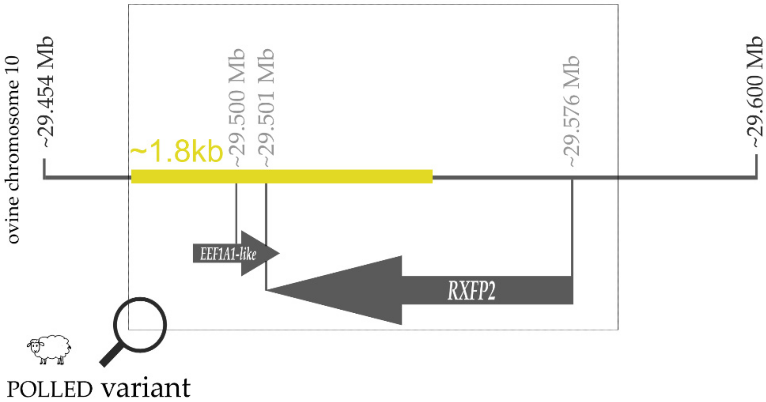 Genes 13 00832 g007