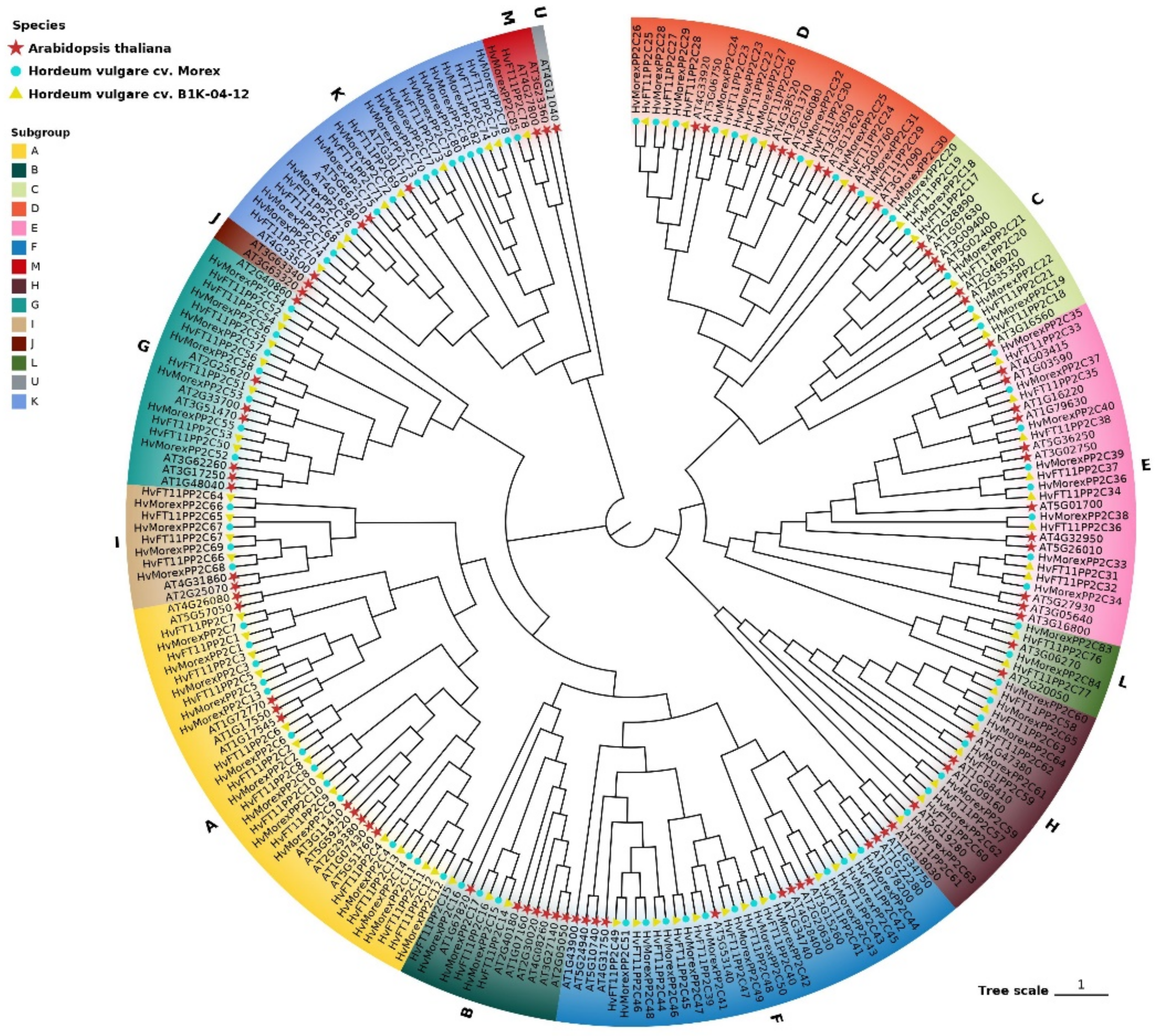 Genes 13 00834 g001
