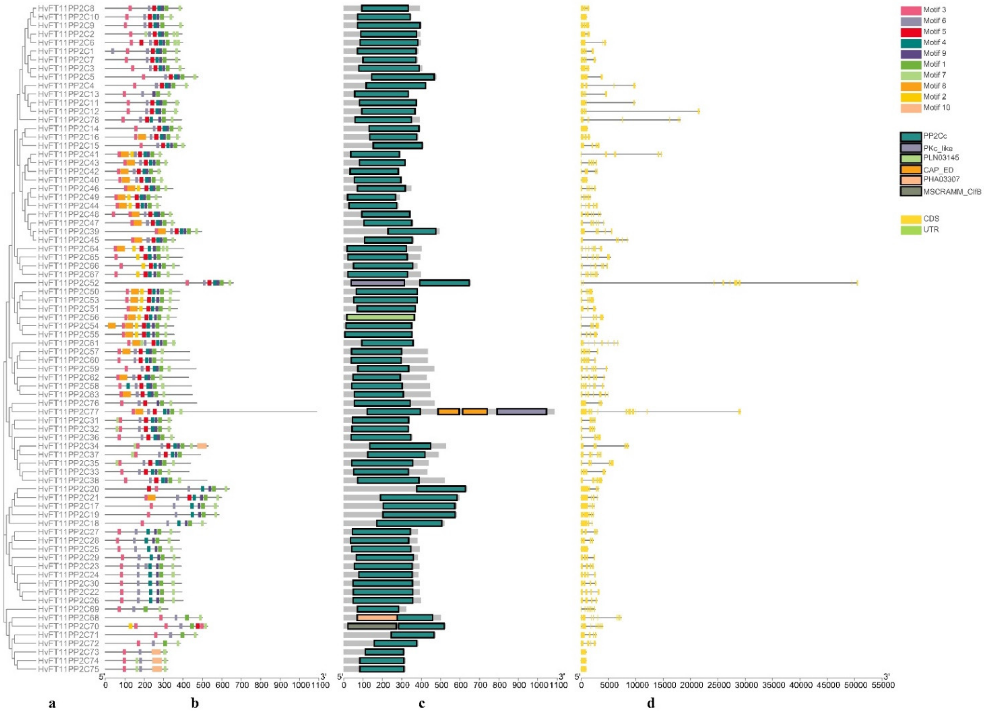Genes 13 00834 g002