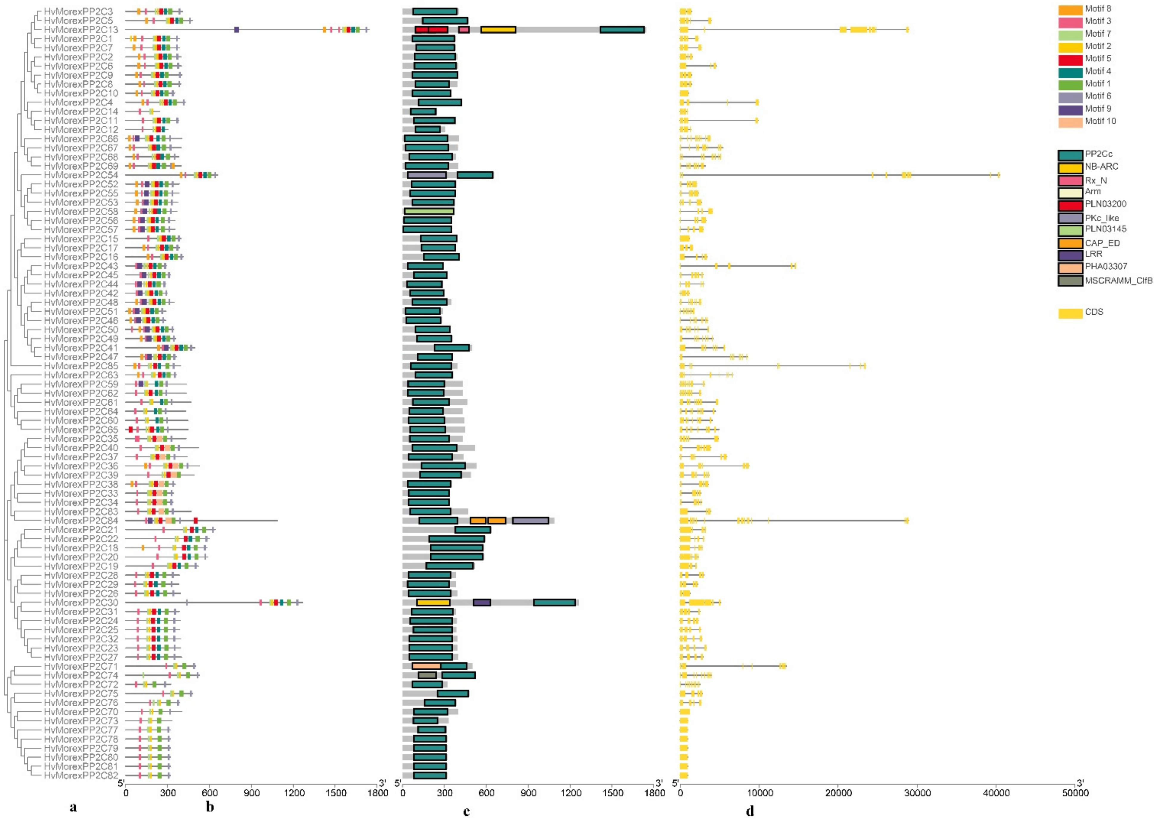 Genes 13 00834 g003