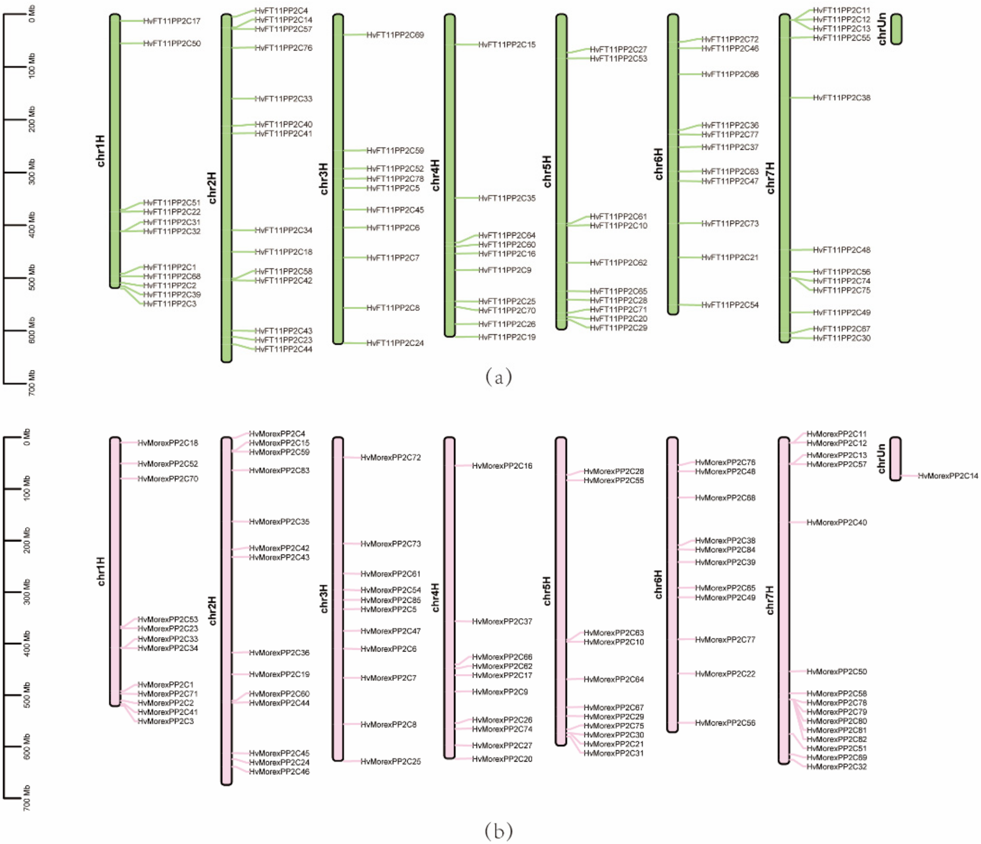 Genes 13 00834 g004