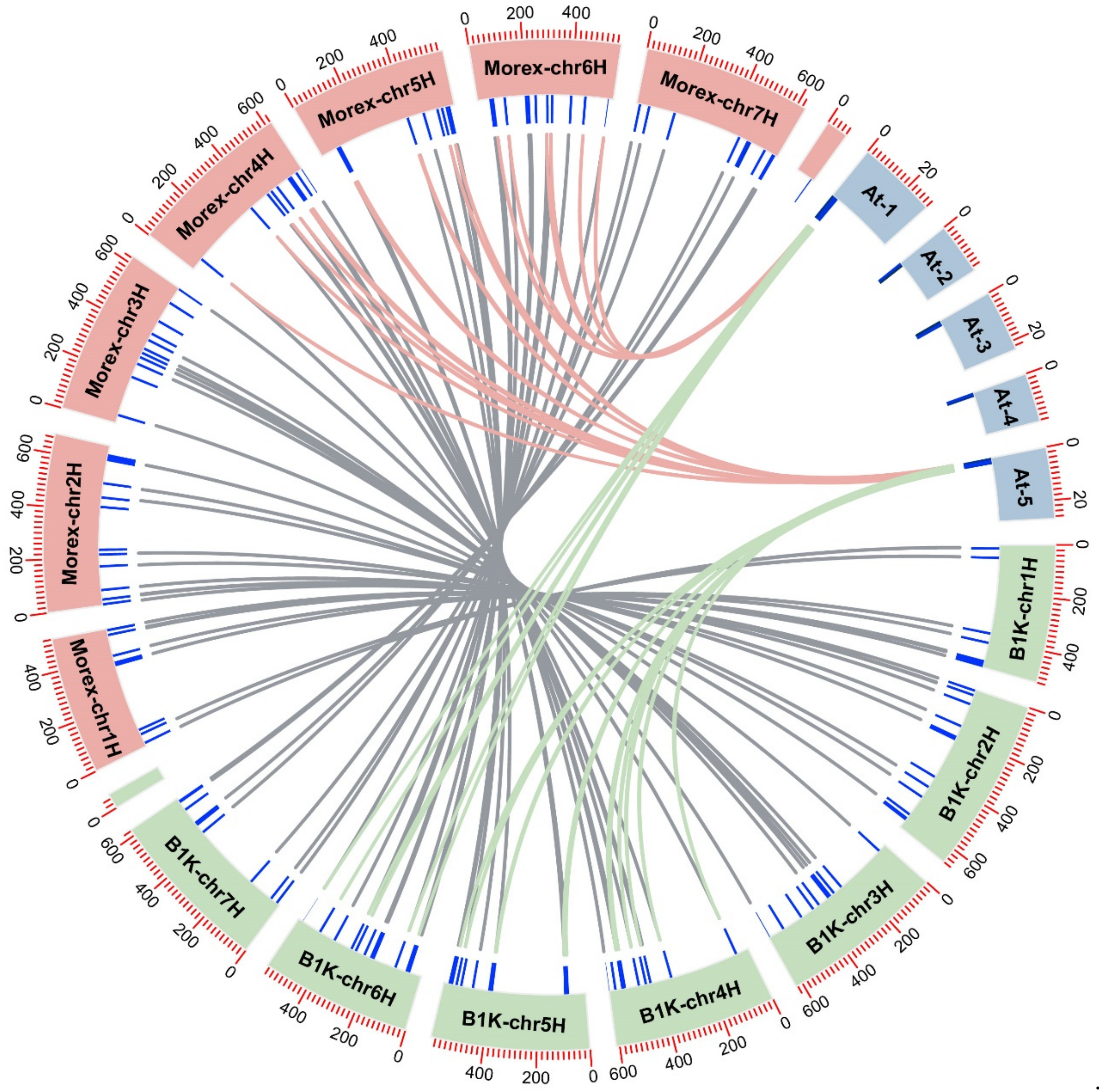 Genes 13 00834 g005