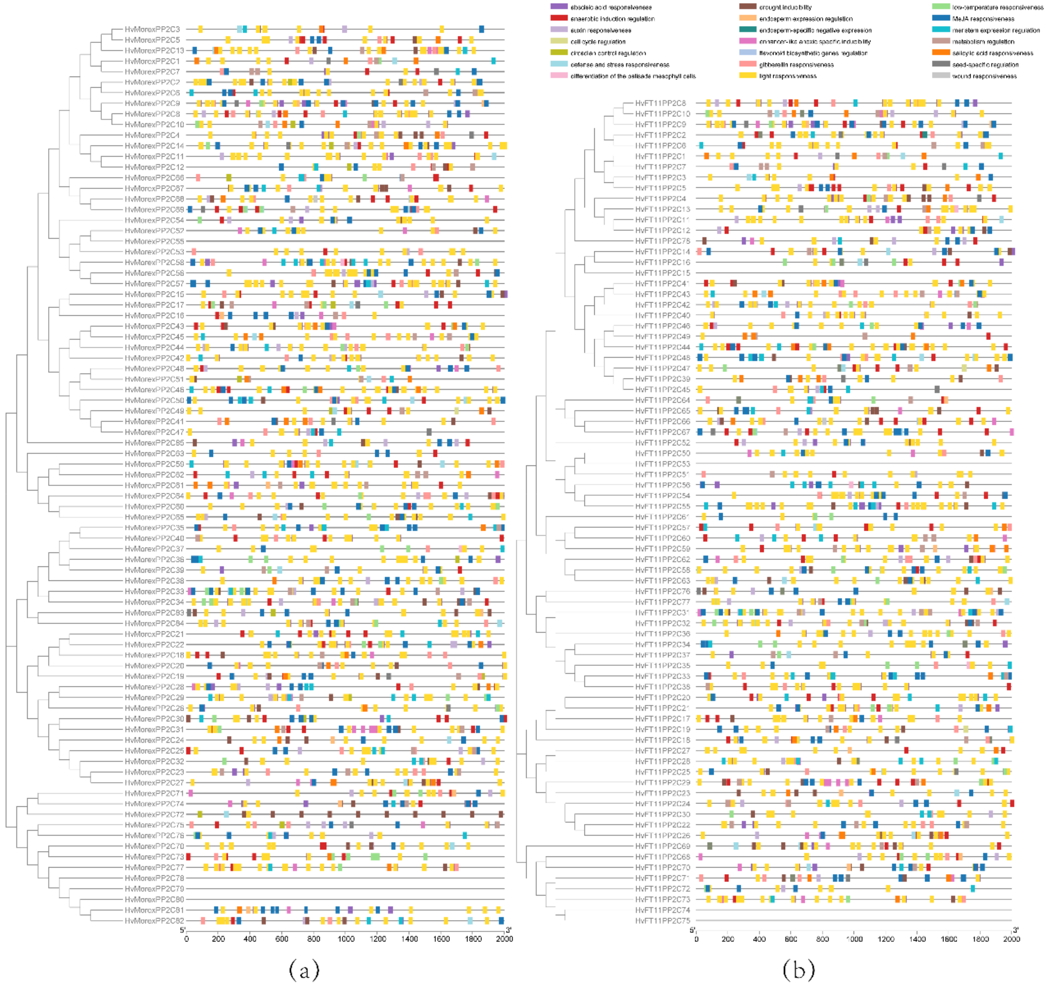 Genes 13 00834 g006
