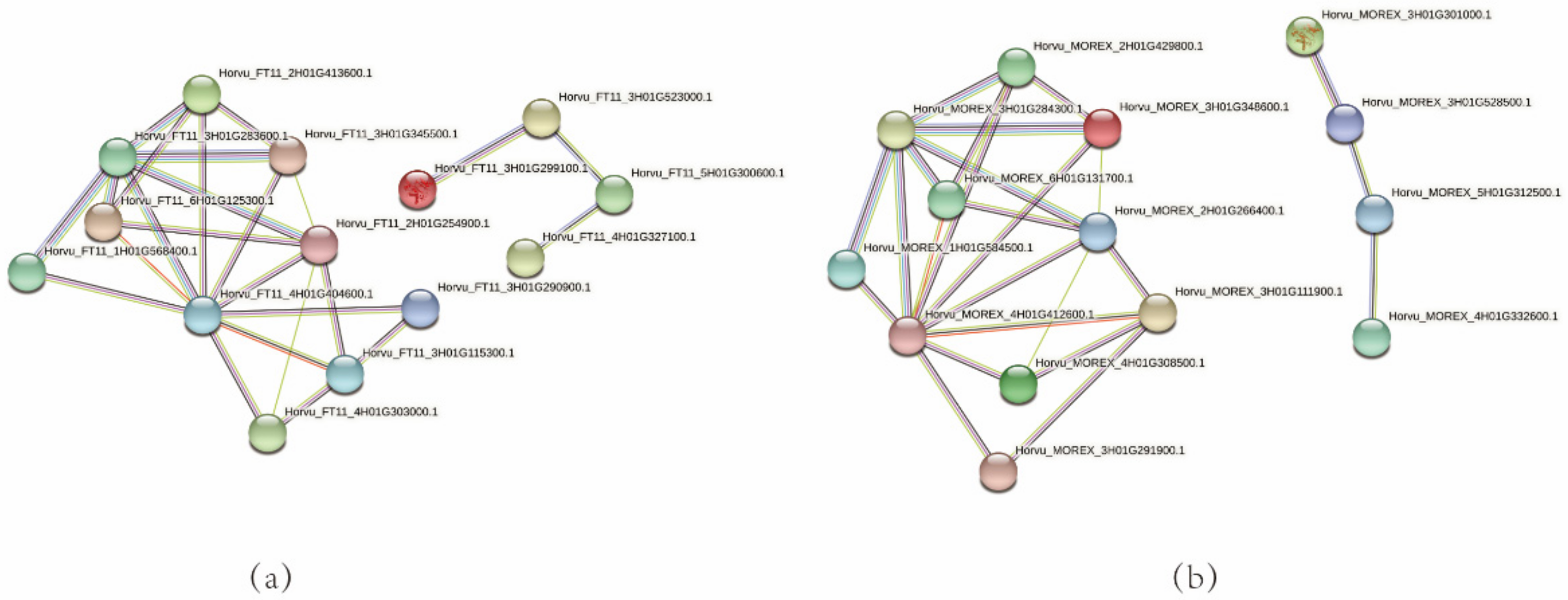 Genes 13 00834 g007