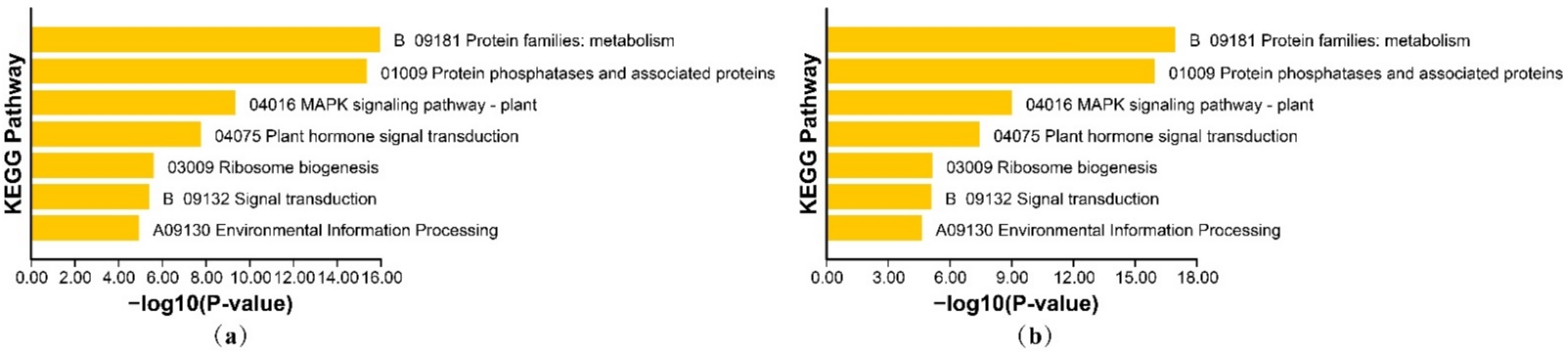 Genes 13 00834 g009