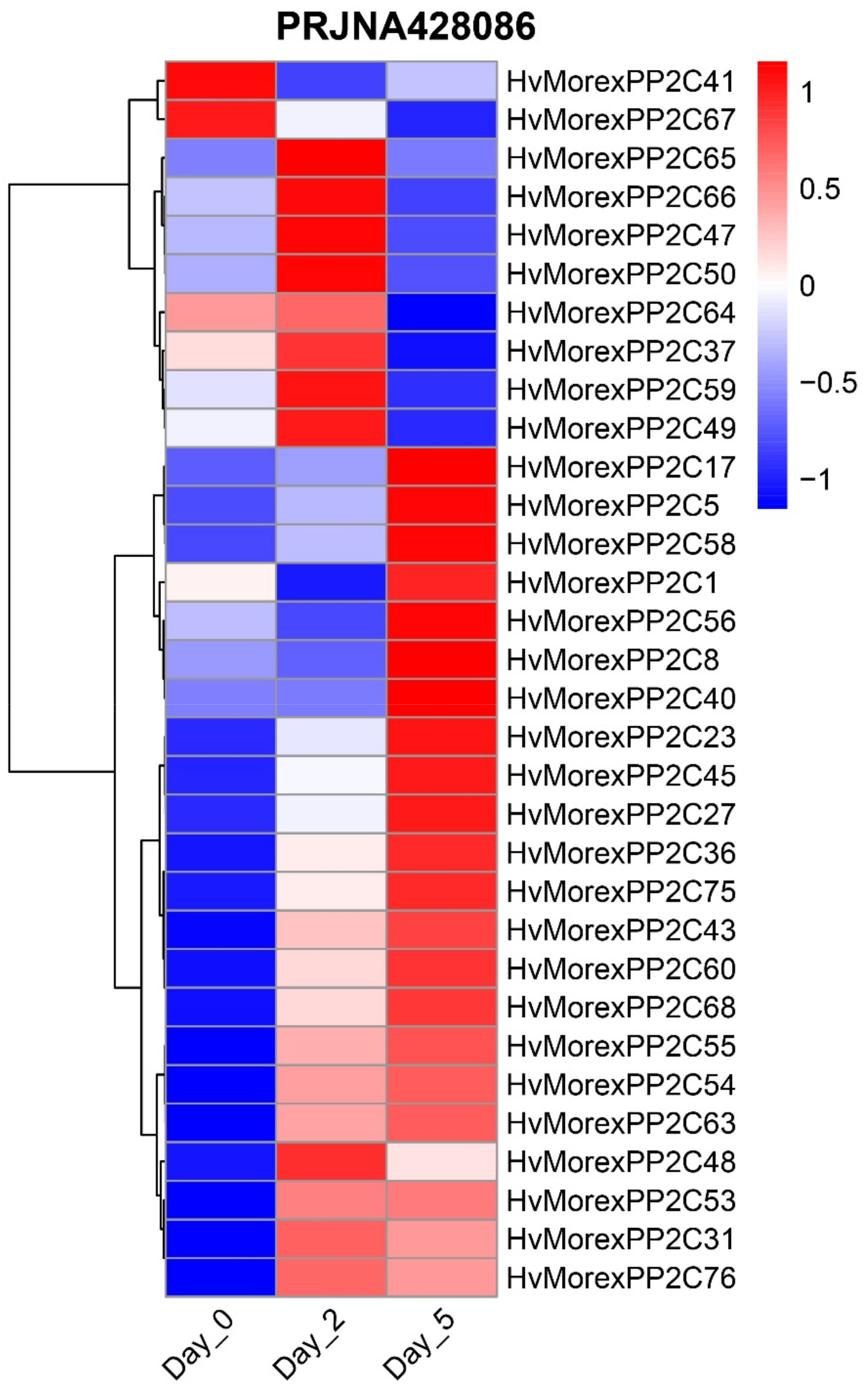Genes 13 00834 g010