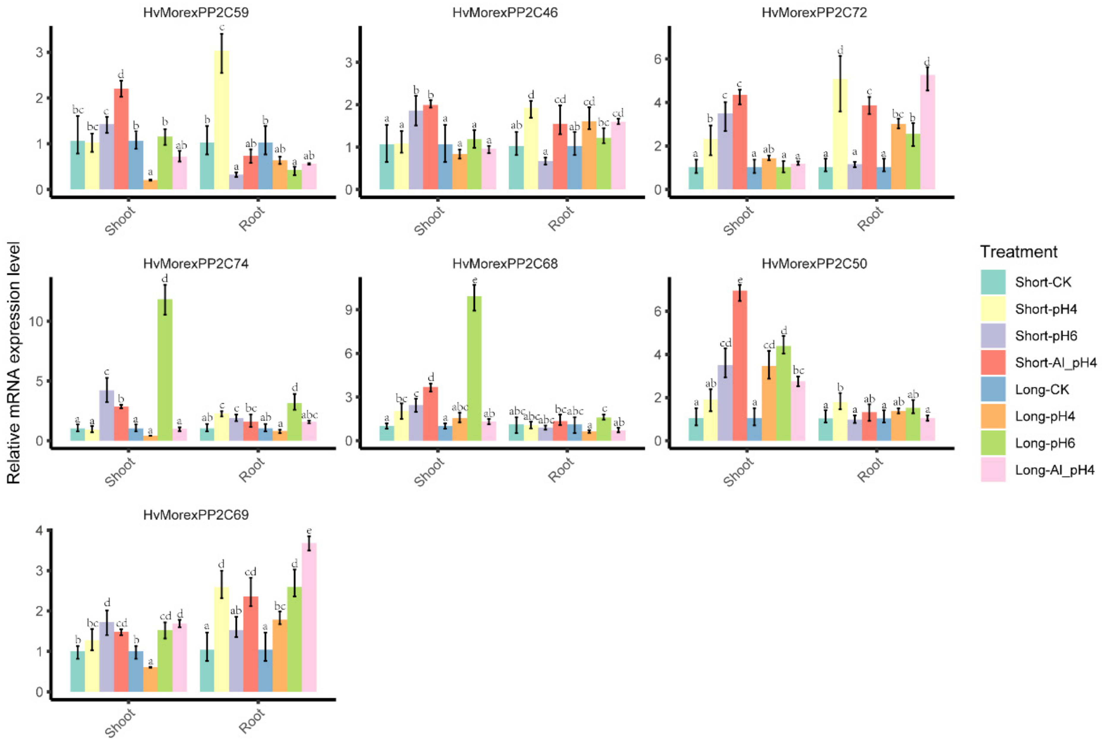 Genes 13 00834 g011