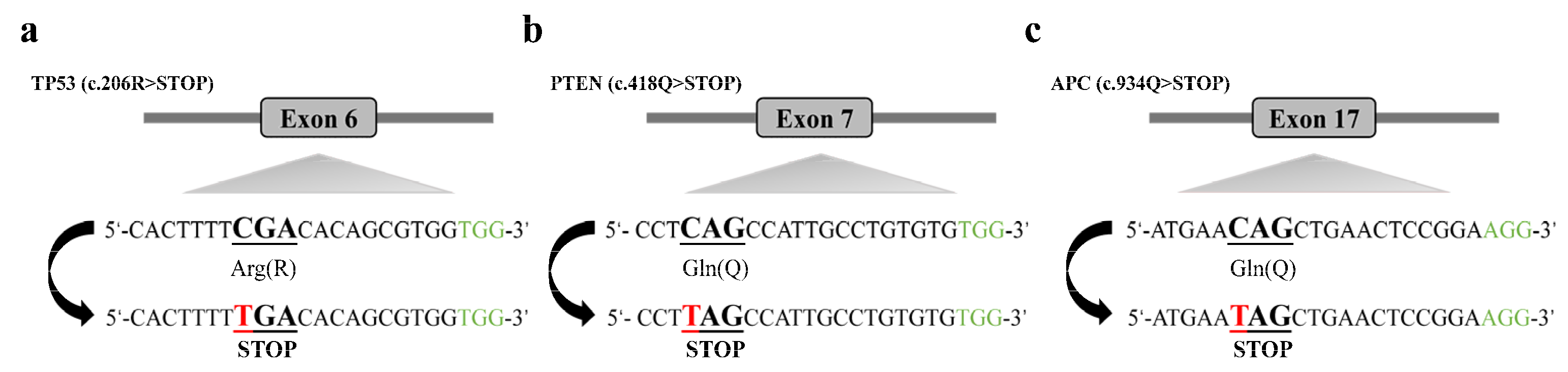 Genes 13 00835 g001
