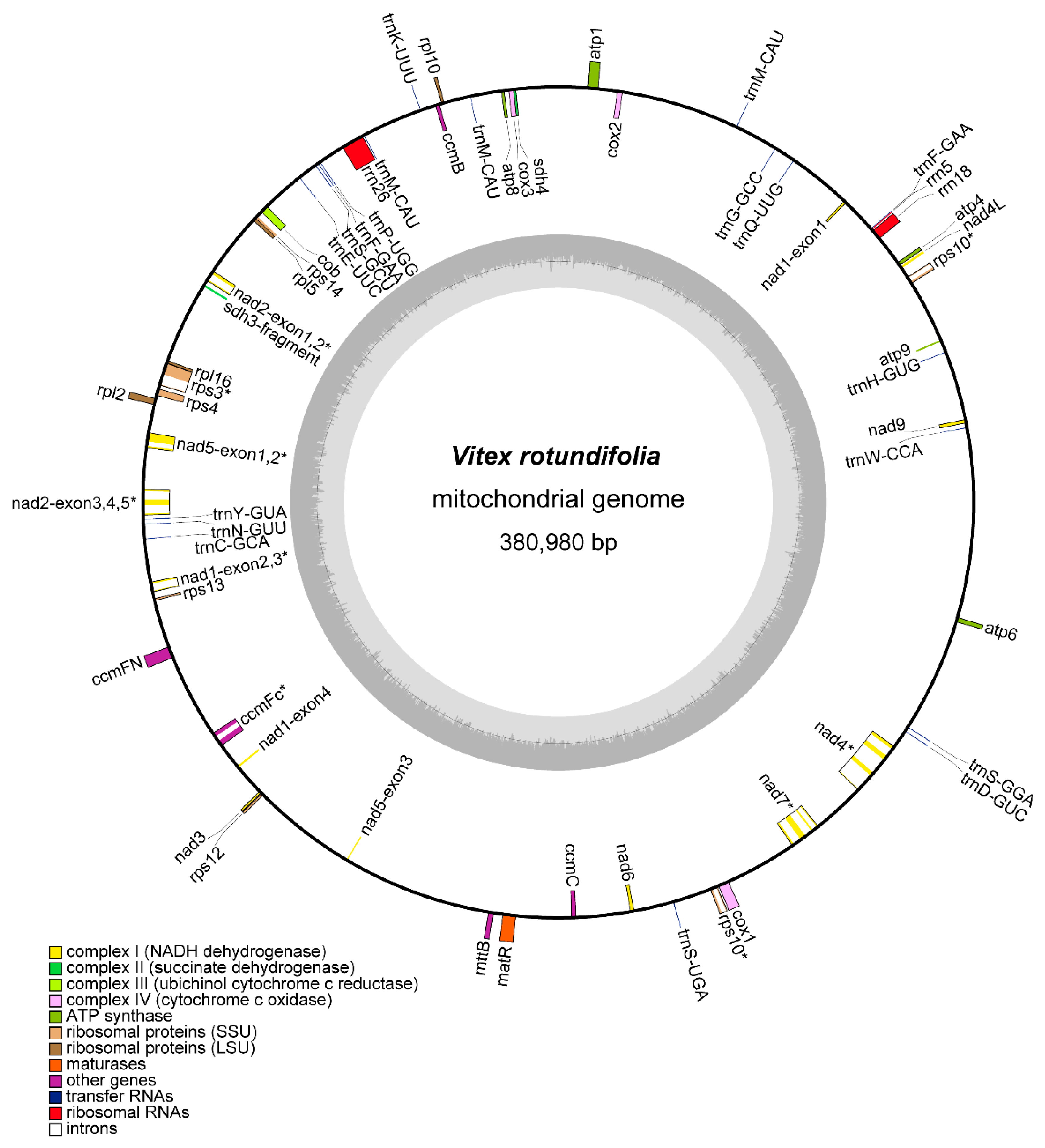 Genes 13 00839 g001