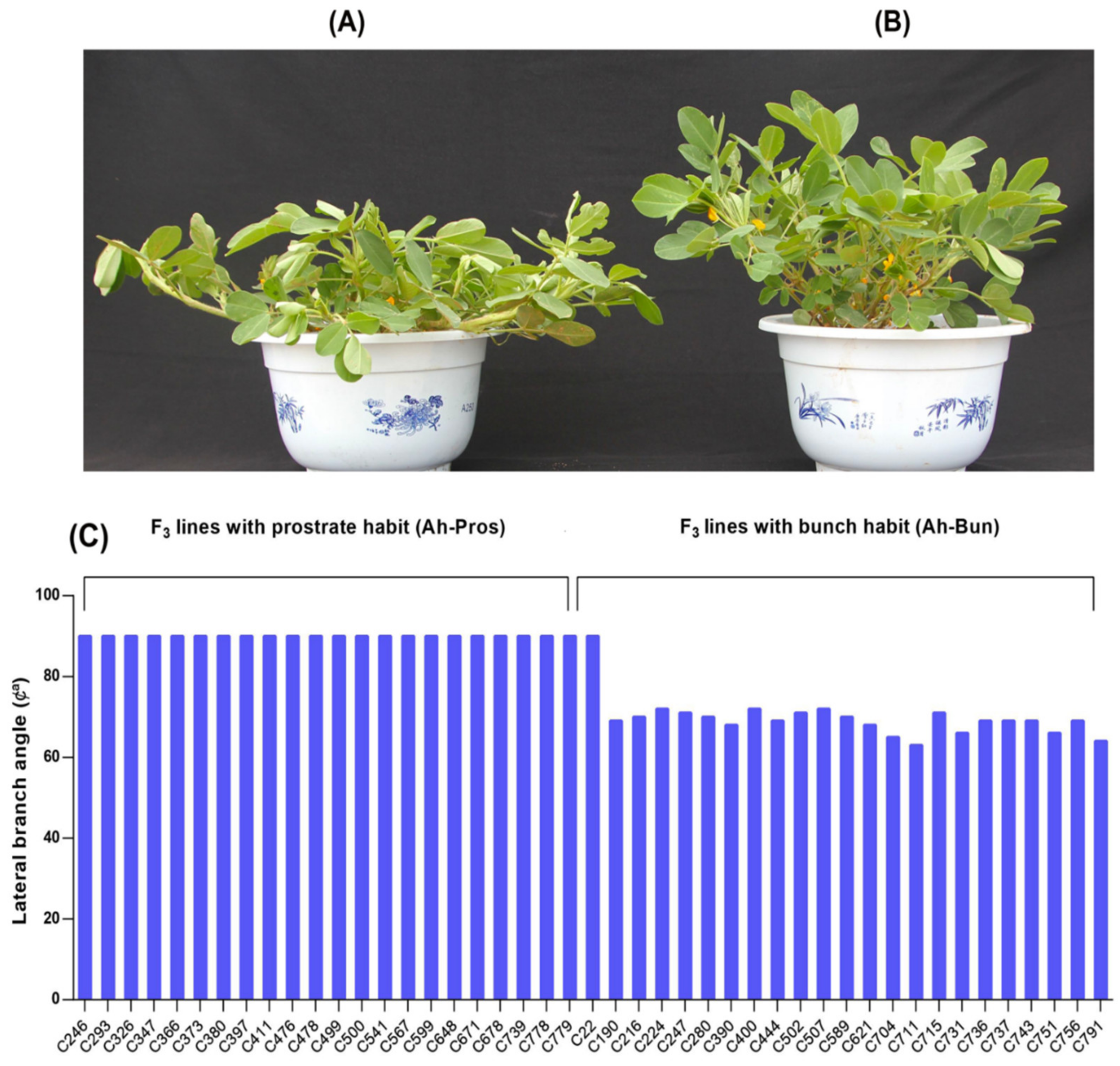 Genes 13 00841 g002 Genes 13 00841 g002