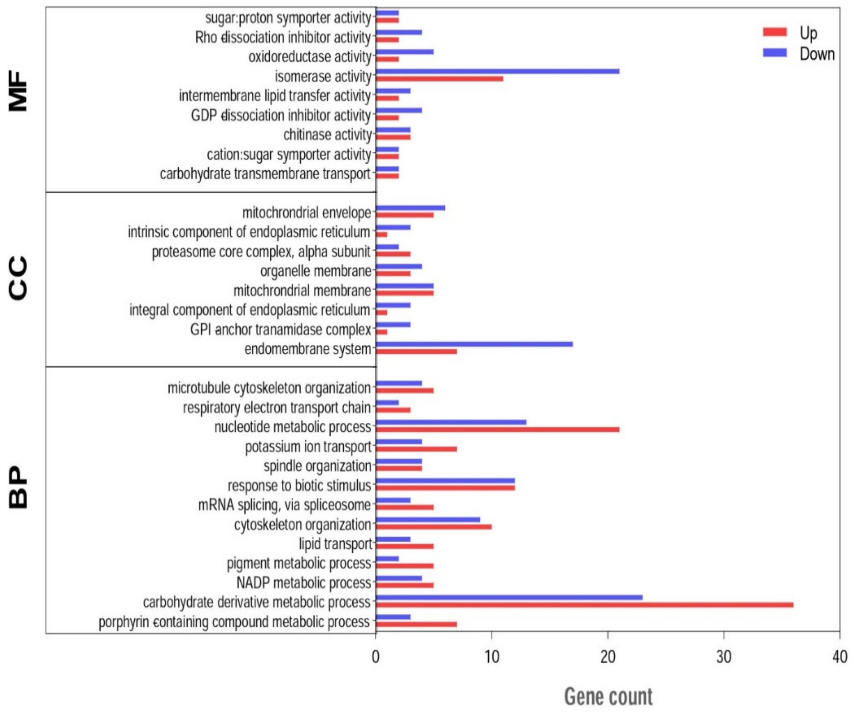 Genes 13 00841 g004 Genes 13 00841 g004