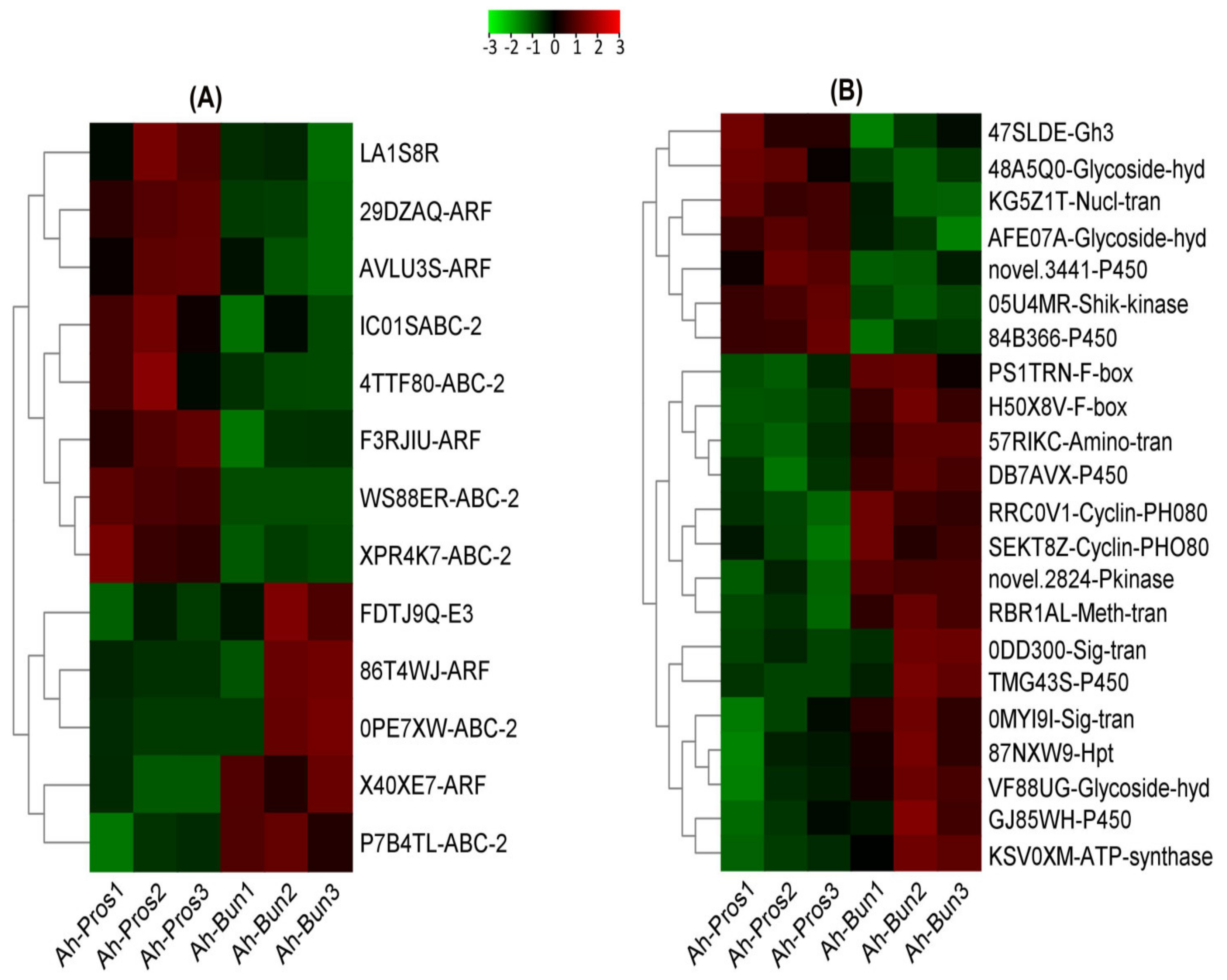Genes 13 00841 g006 Genes 13 00841 g006