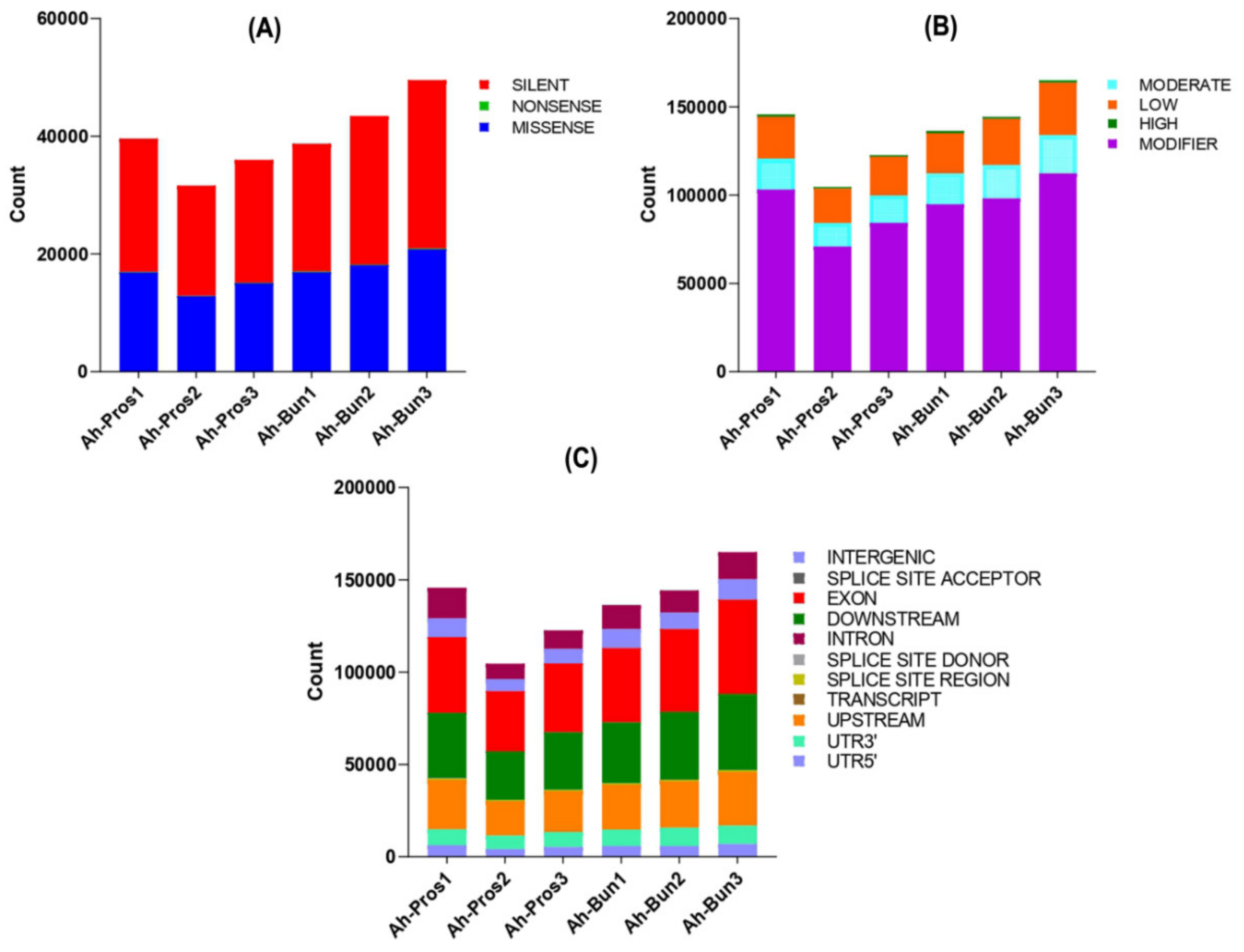 Genes 13 00841 g007 Genes 13 00841 g007