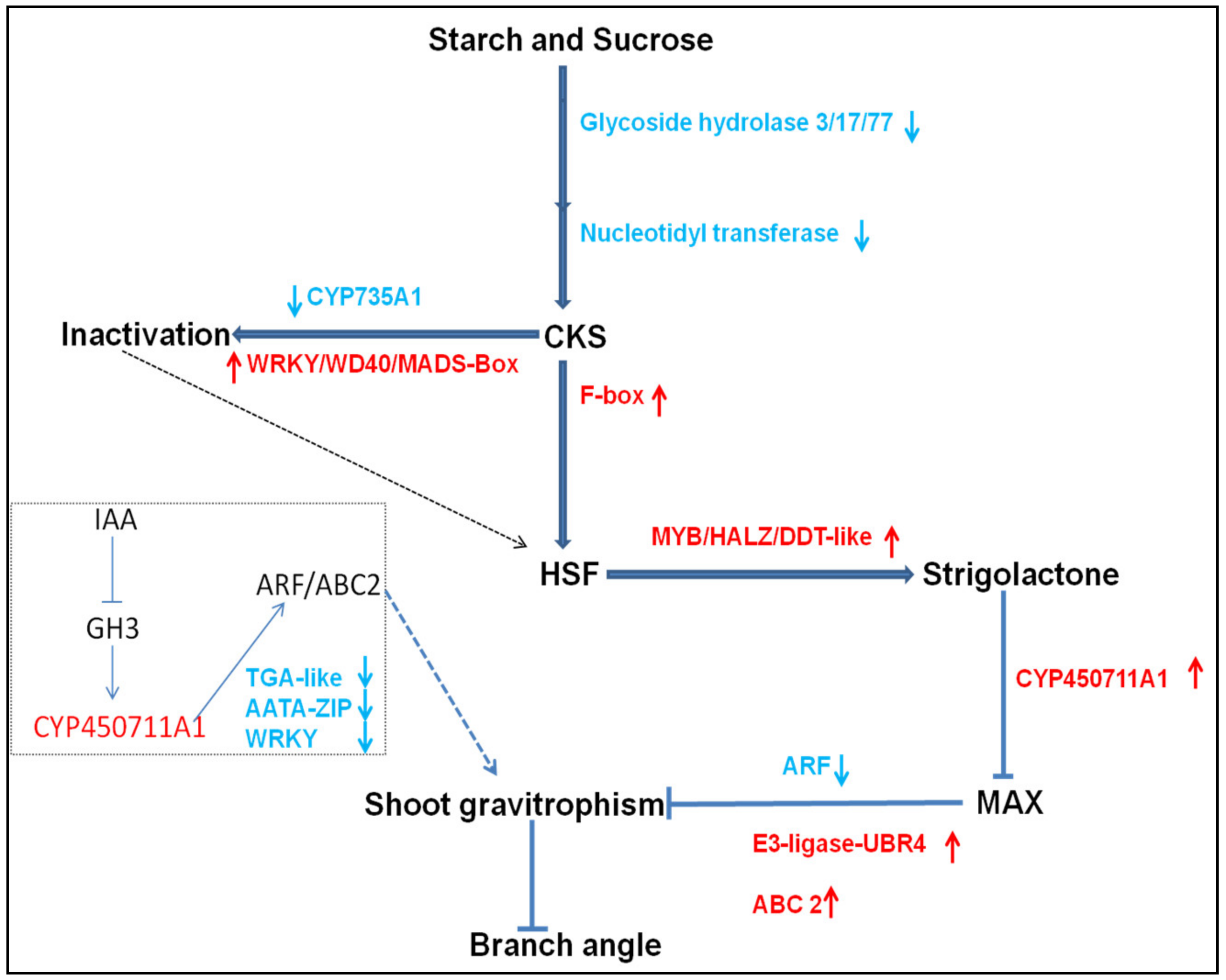 Genes 13 00841 g009 Genes 13 00841 g009
