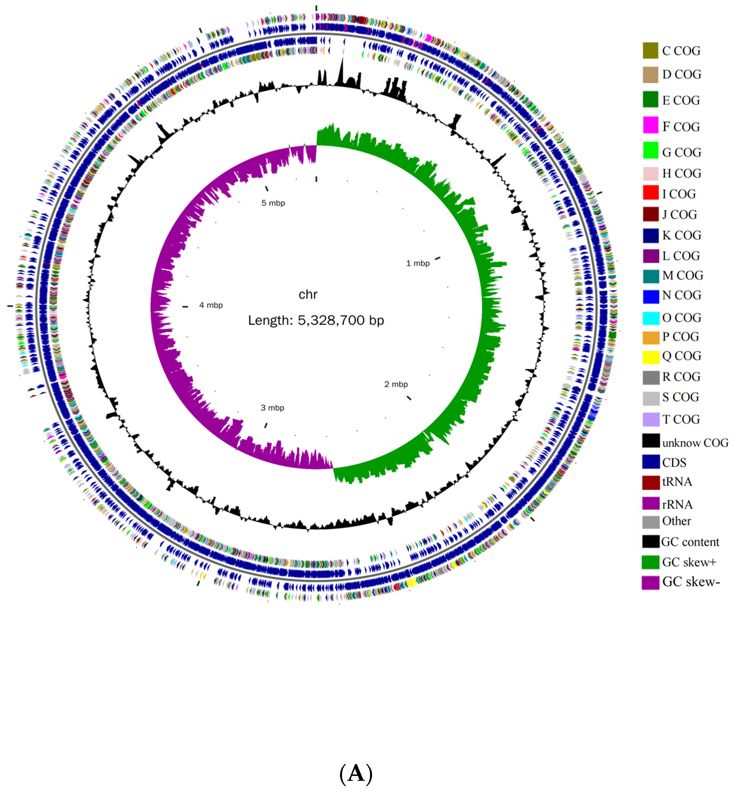 Genes 13 00842 g003a