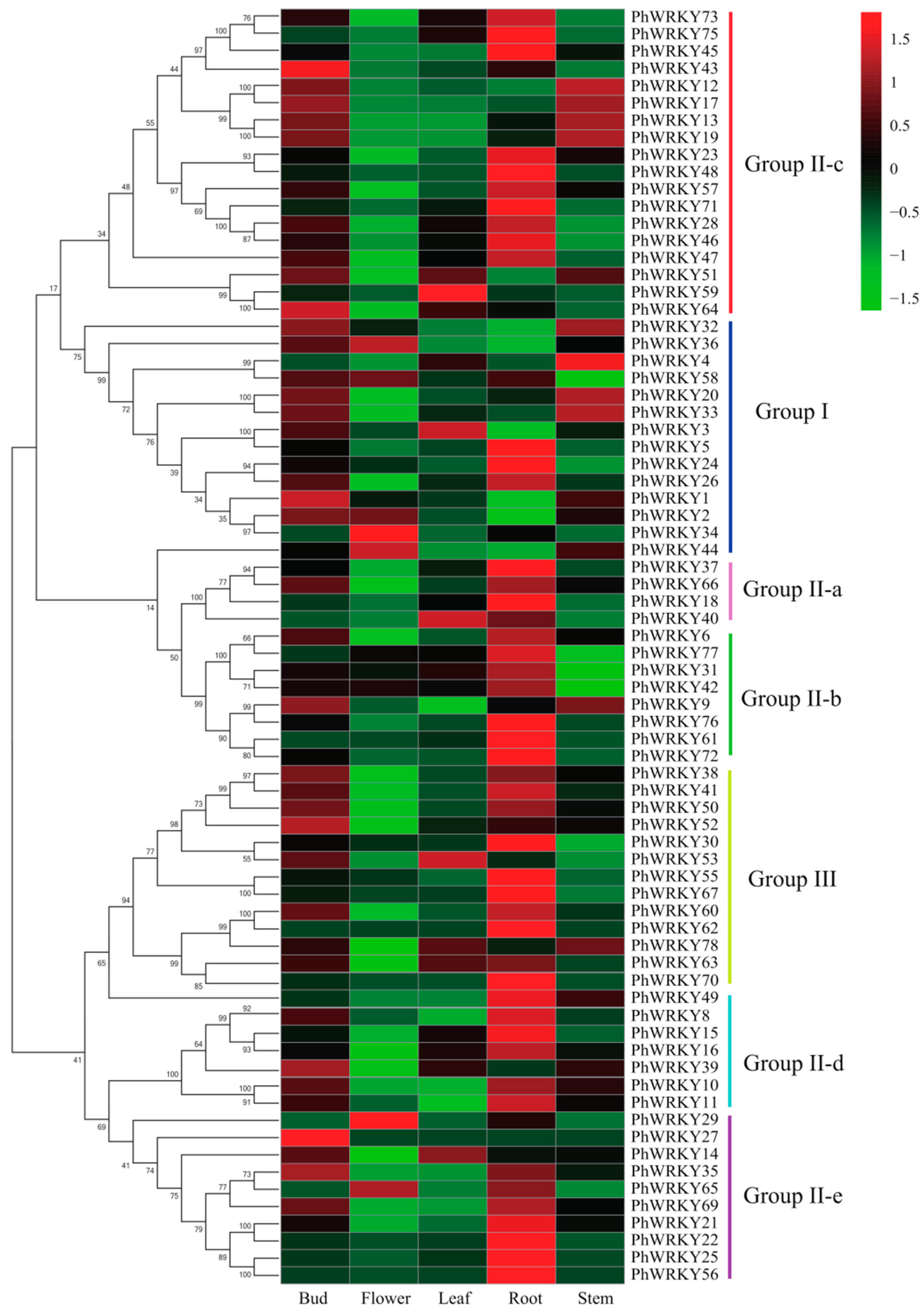 Genes 13 00855 g004
