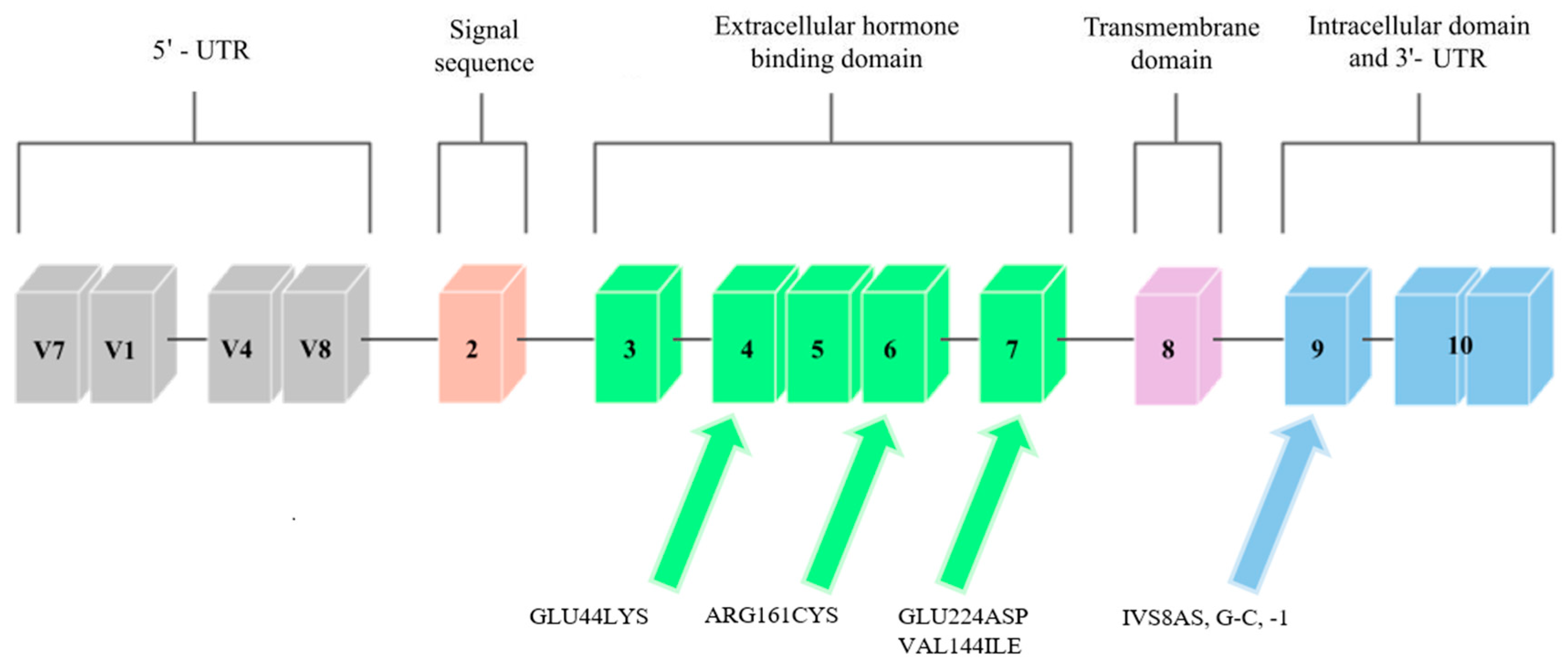 Genes 13 00856 g002
