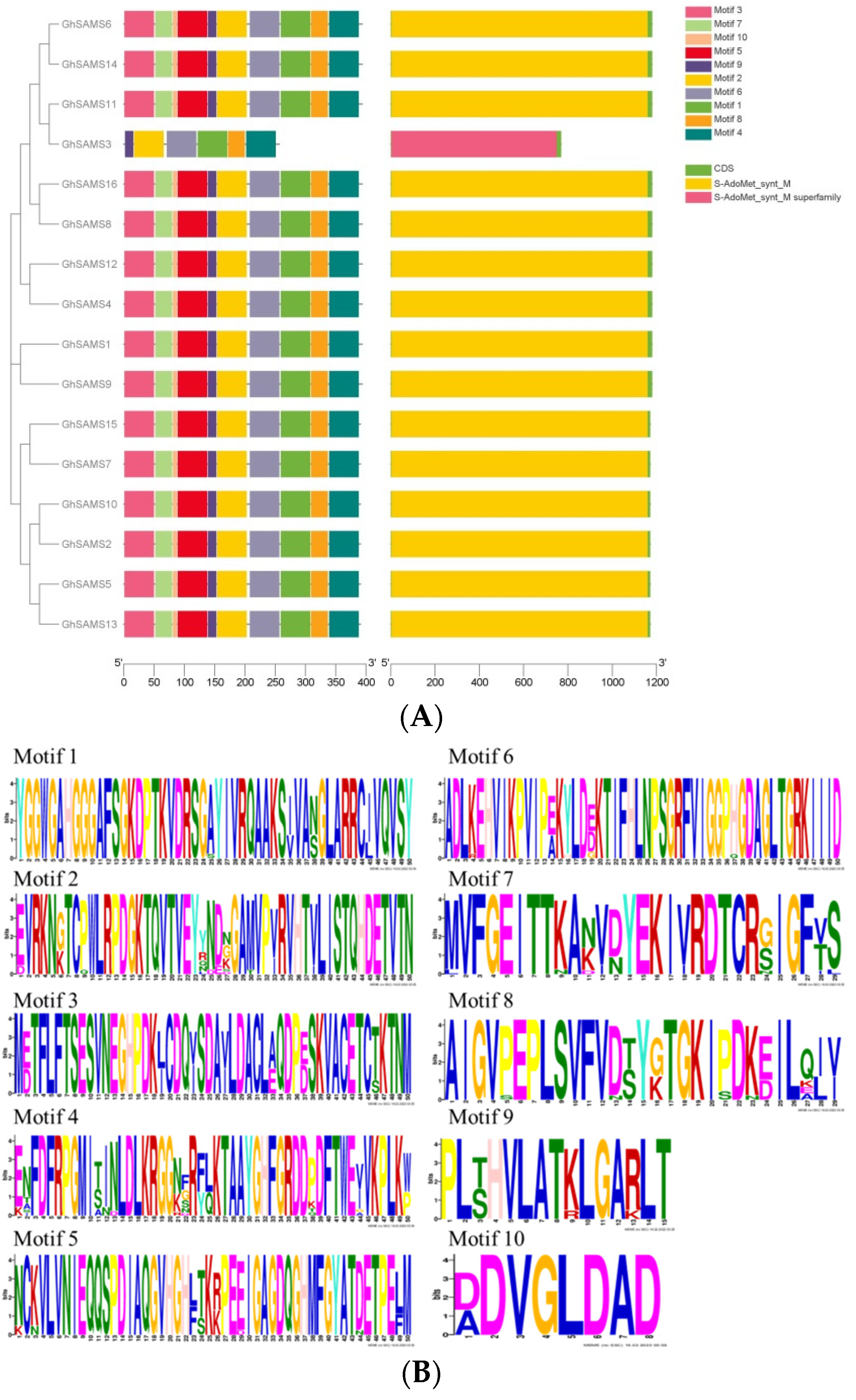 Genes 13 00860 g002
