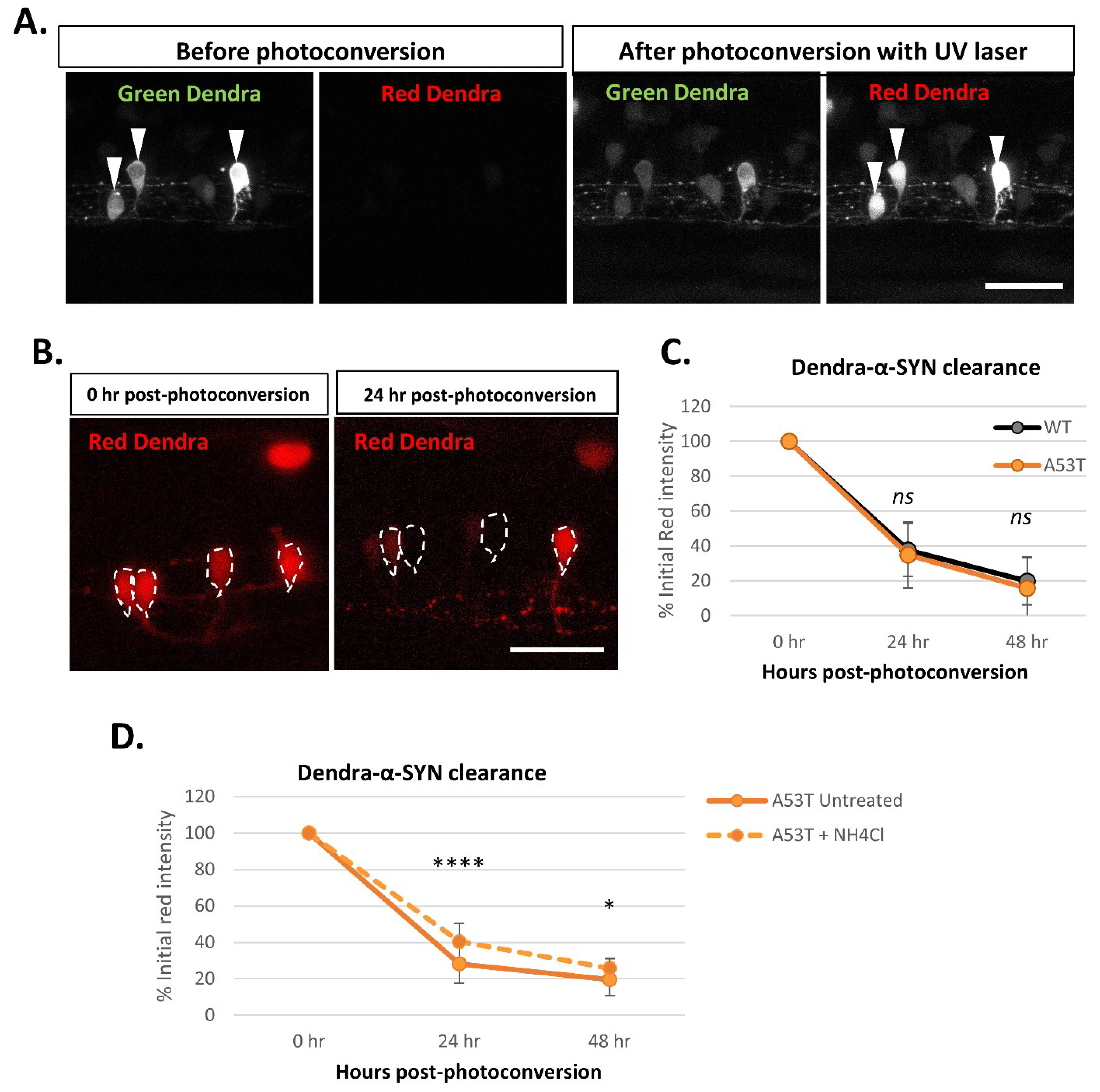 Genes 13 00868 g005