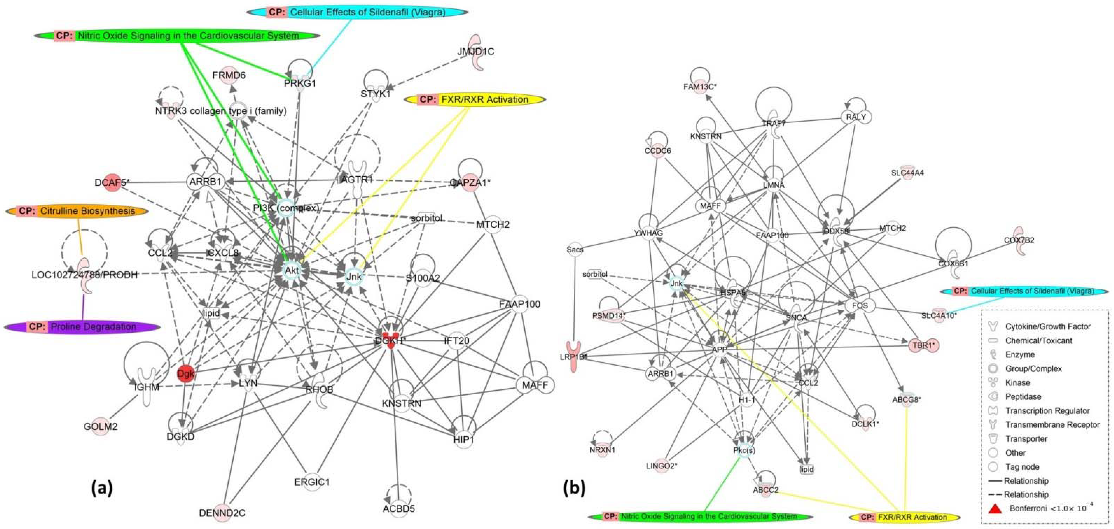 Genes 13 00869 g002 Genes 13 00869 g002