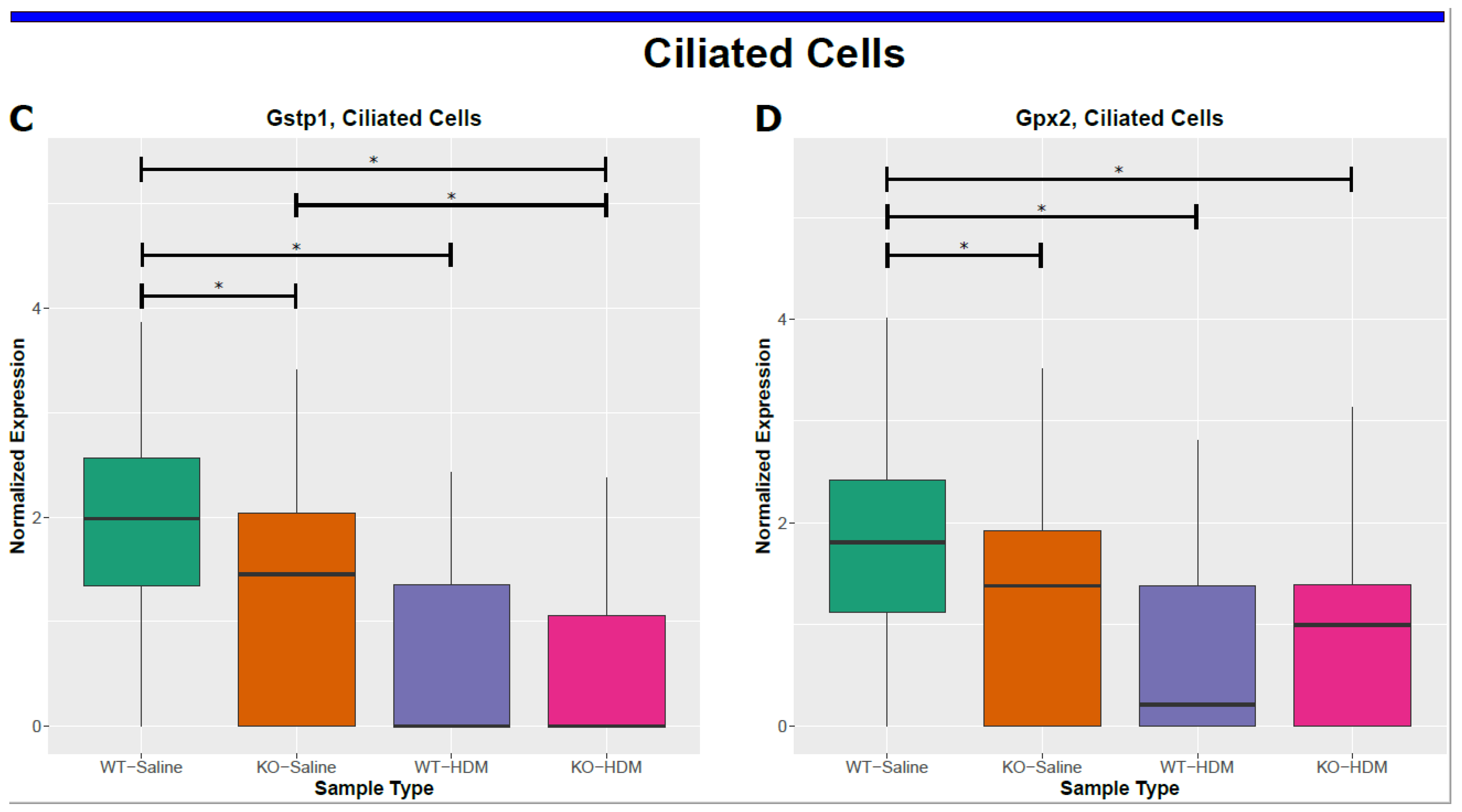 Genes 13 00880 g004b