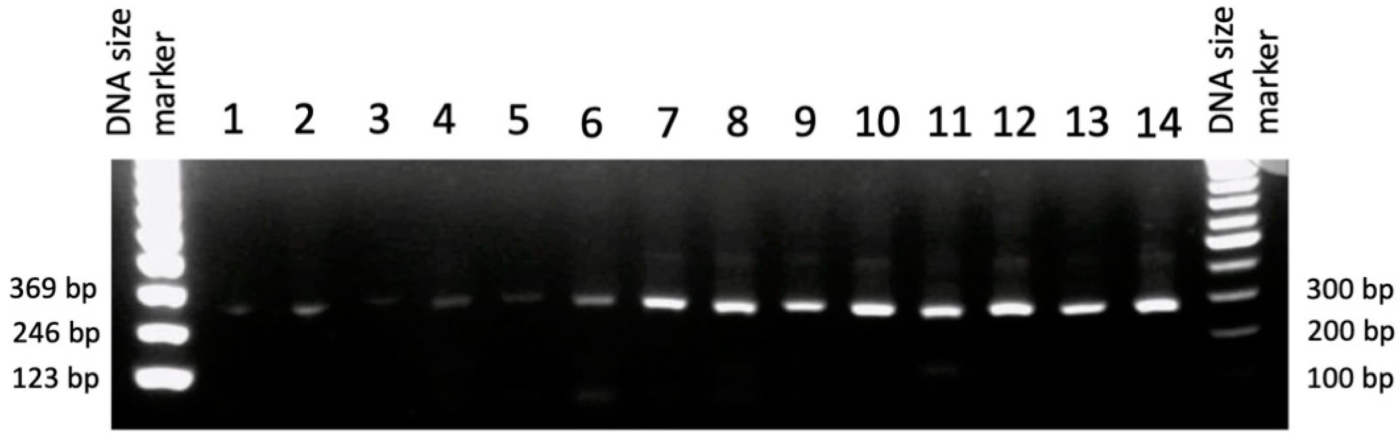 Genes 13 00881 g007