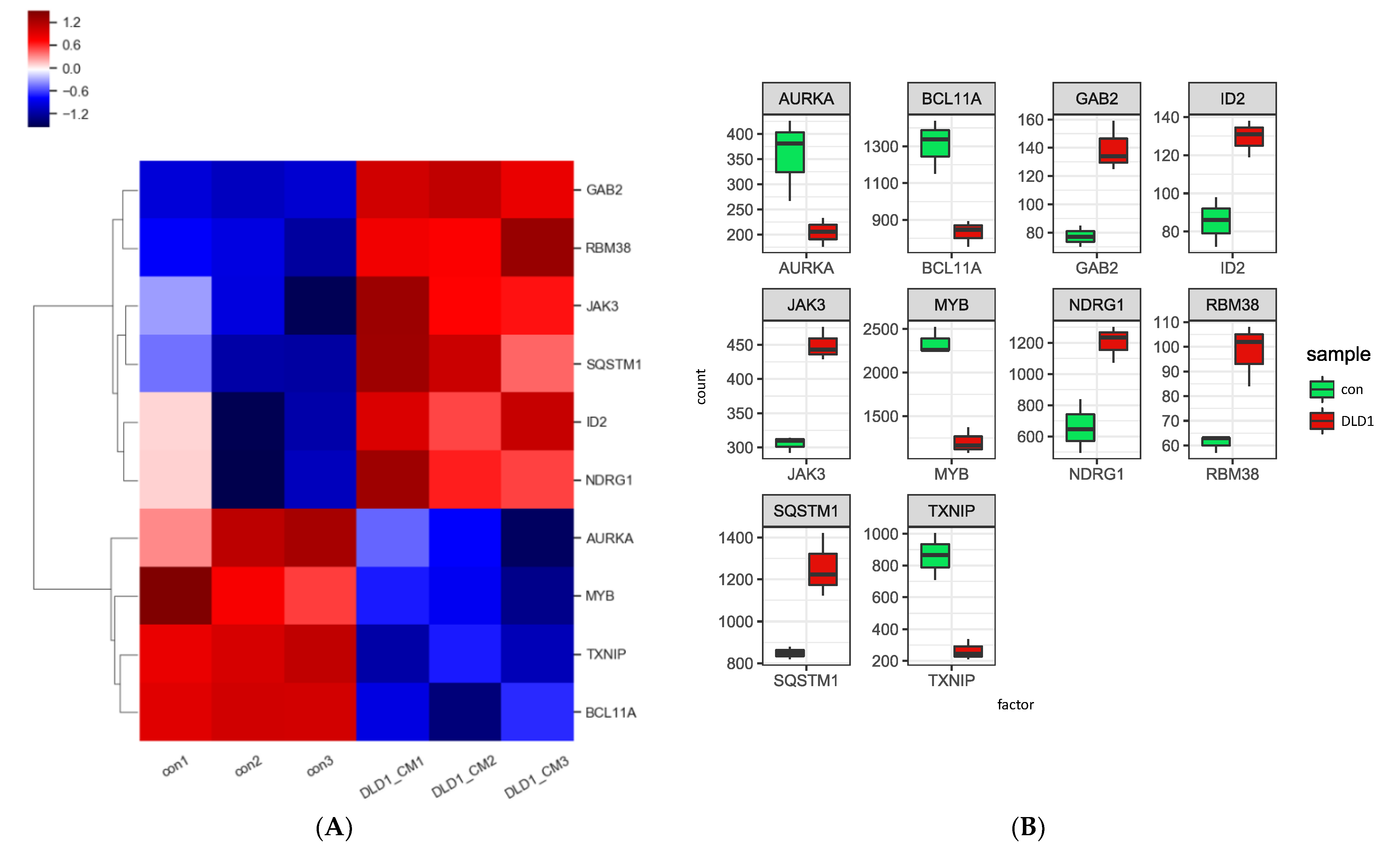 Genes 13 00883 g004a