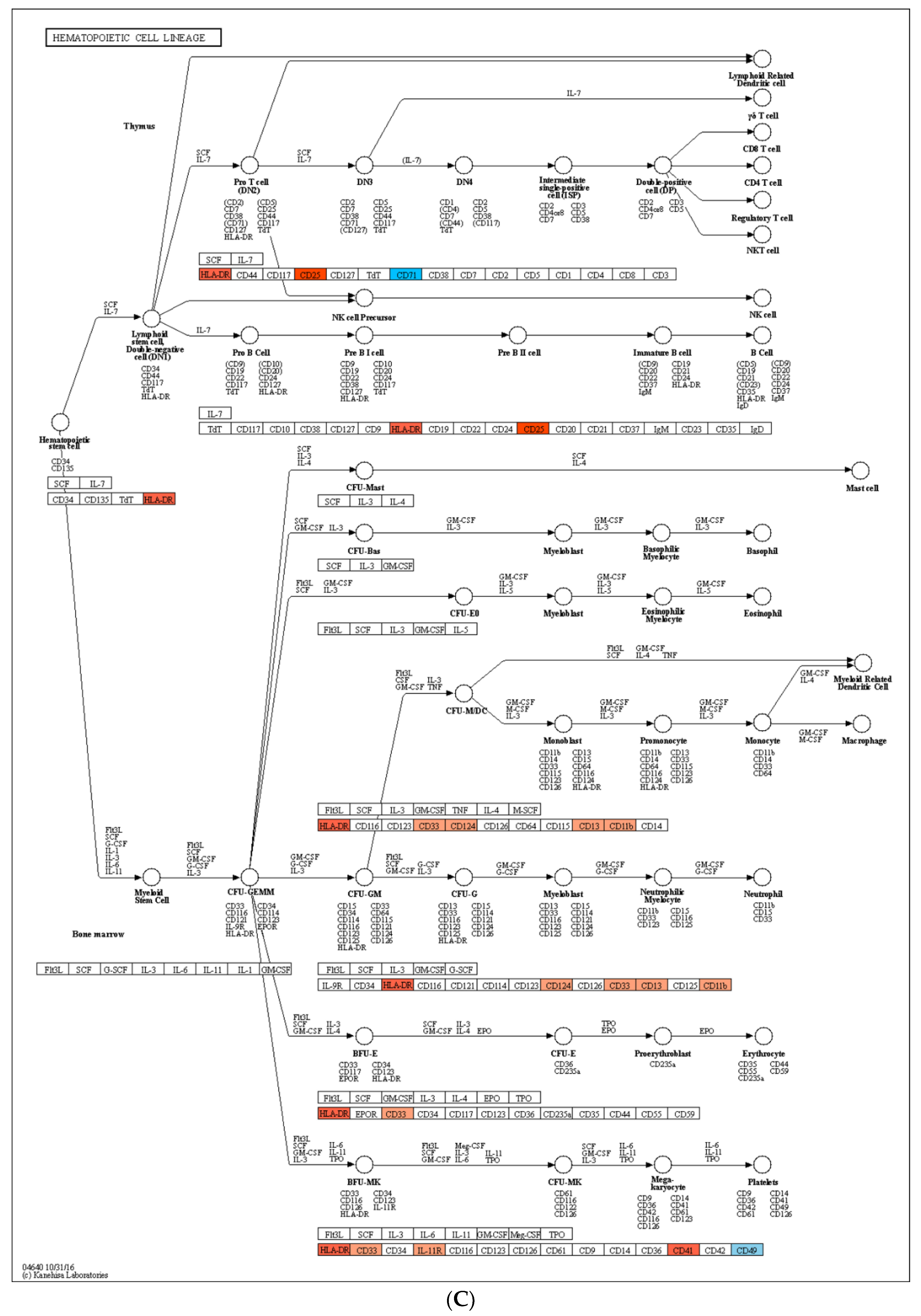 Genes 13 00883 g004b