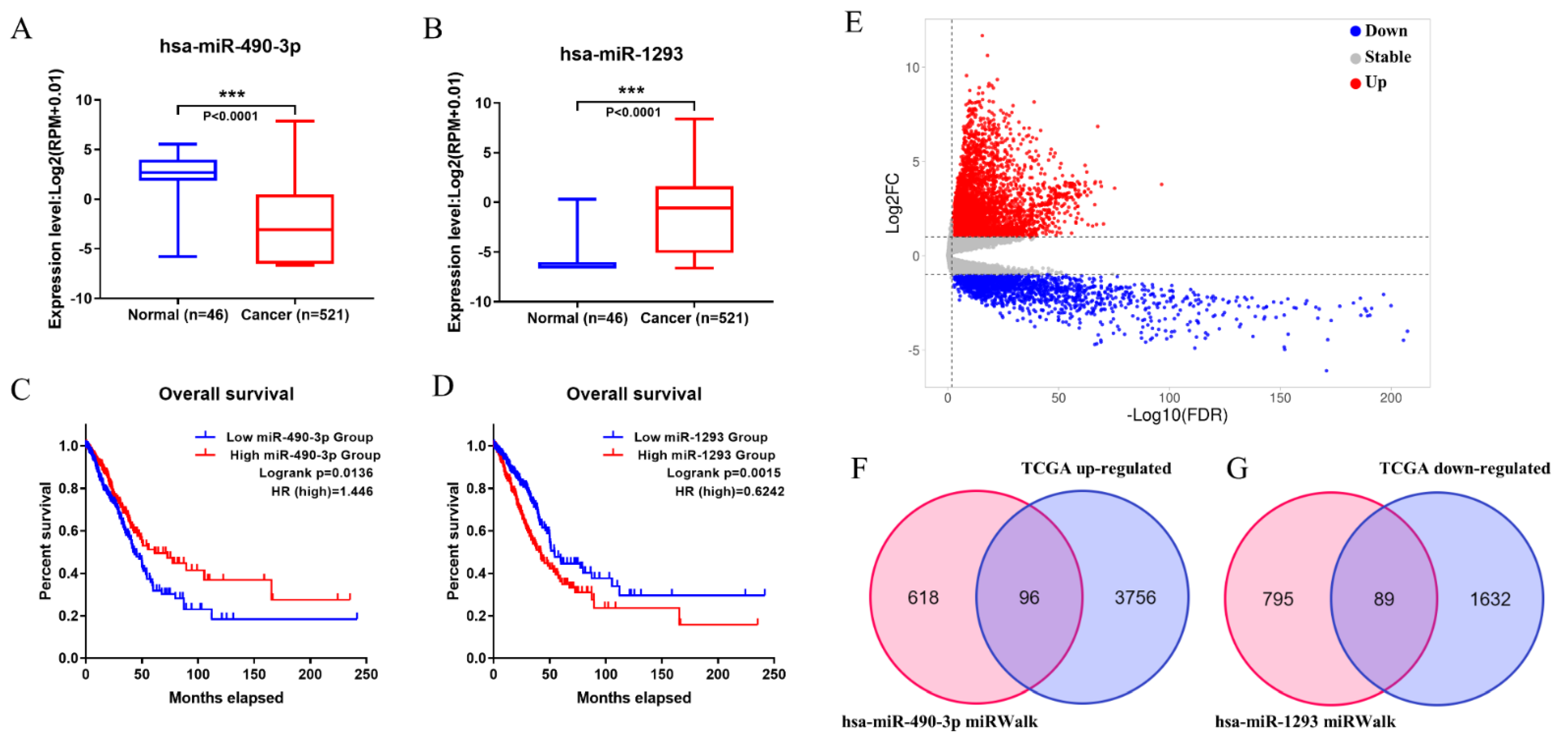 Genes 13 00885 g004