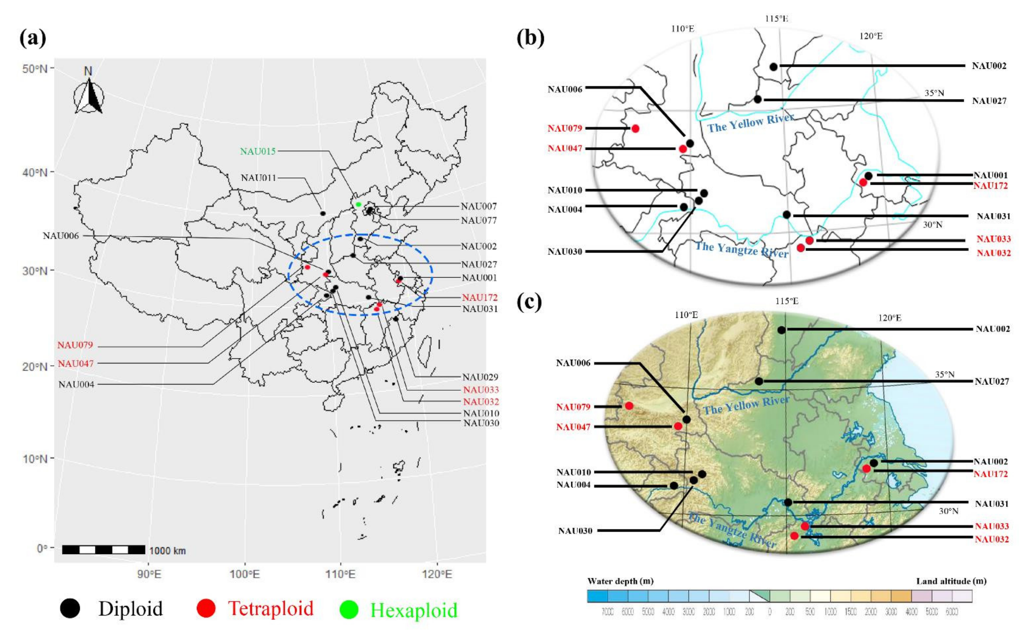 Genes 13 00894 g002 Genes 13 00894 g002