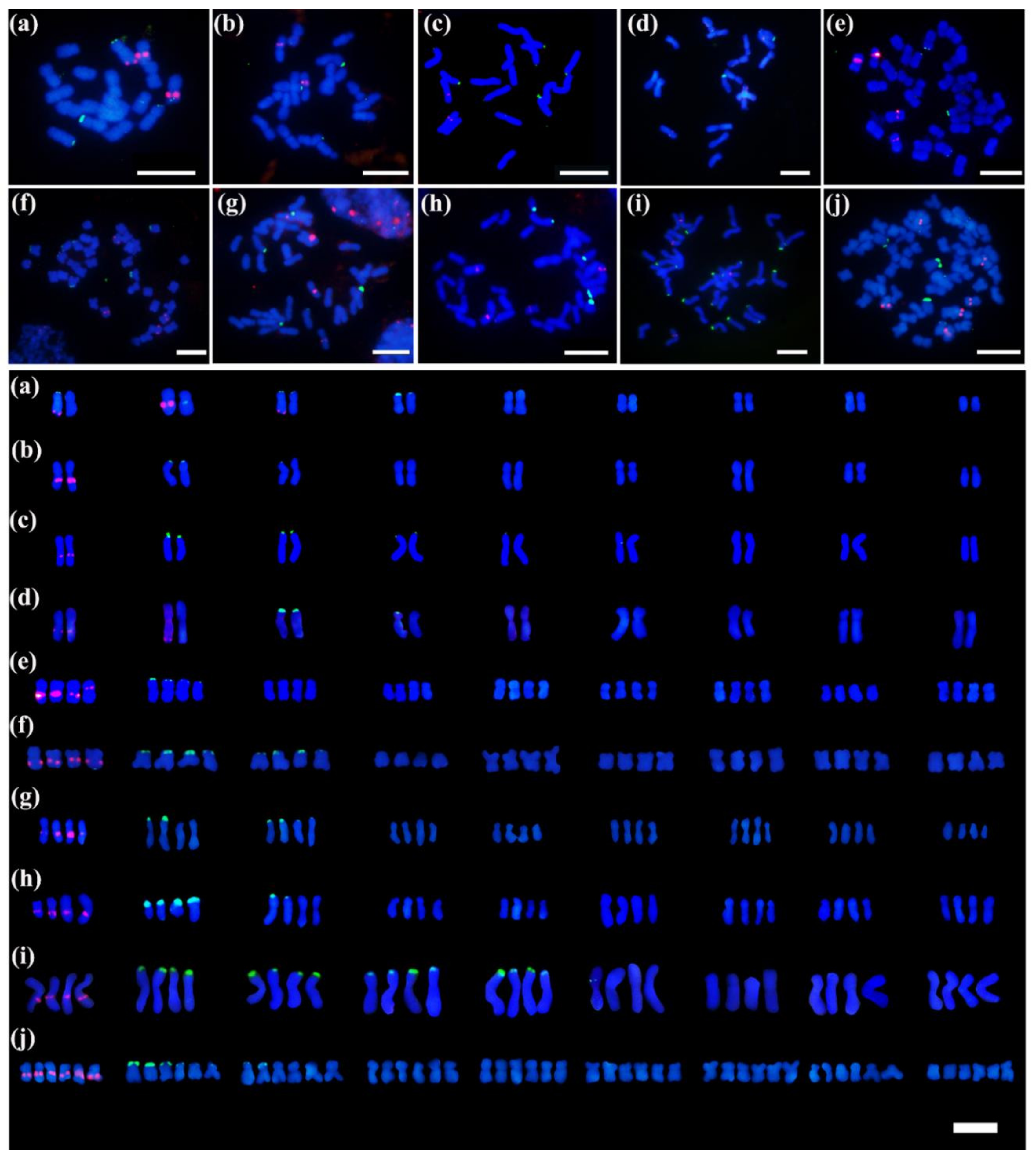 Genes 13 00894 g003 Genes 13 00894 g003