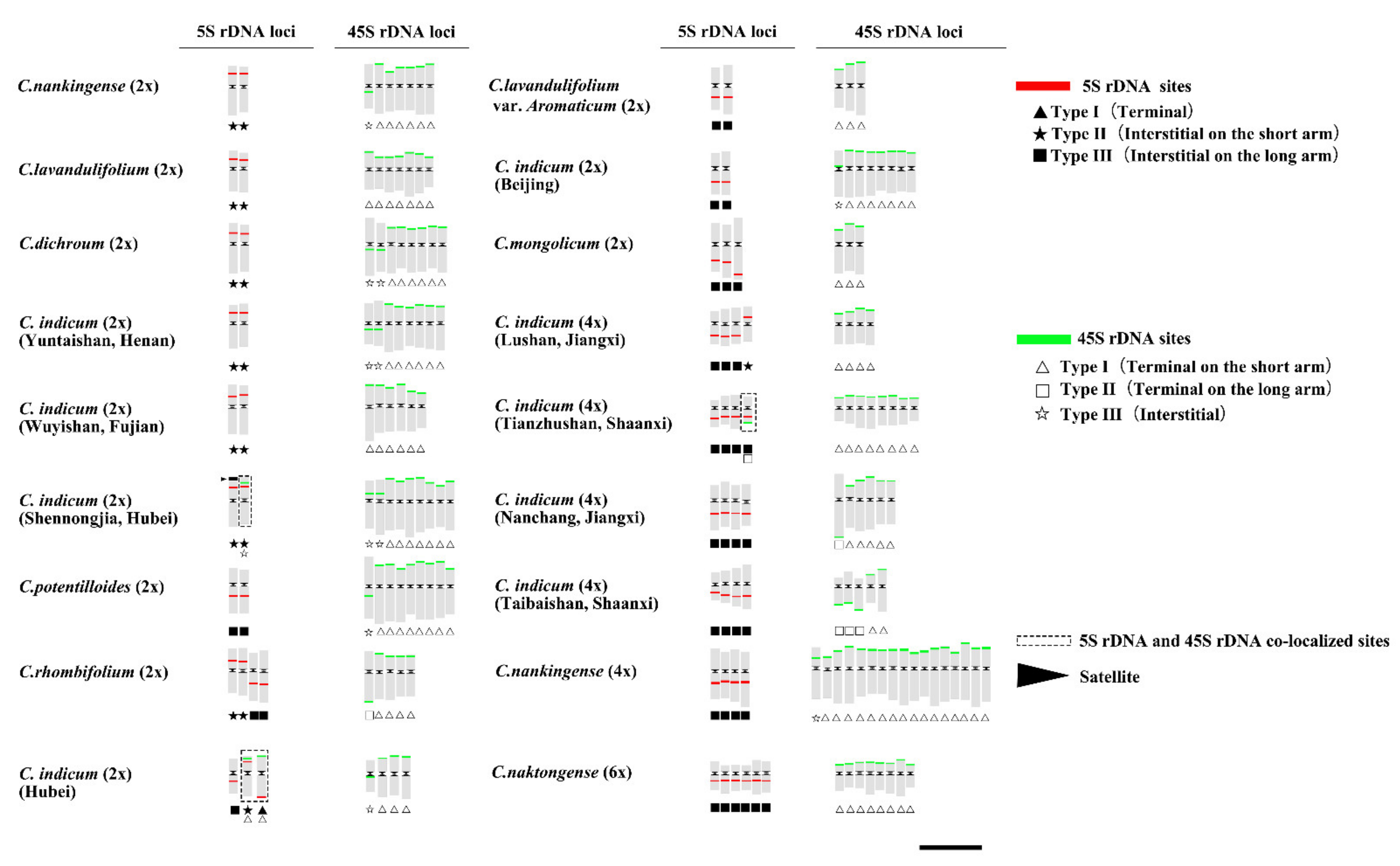 Genes 13 00894 g005 Genes 13 00894 g005