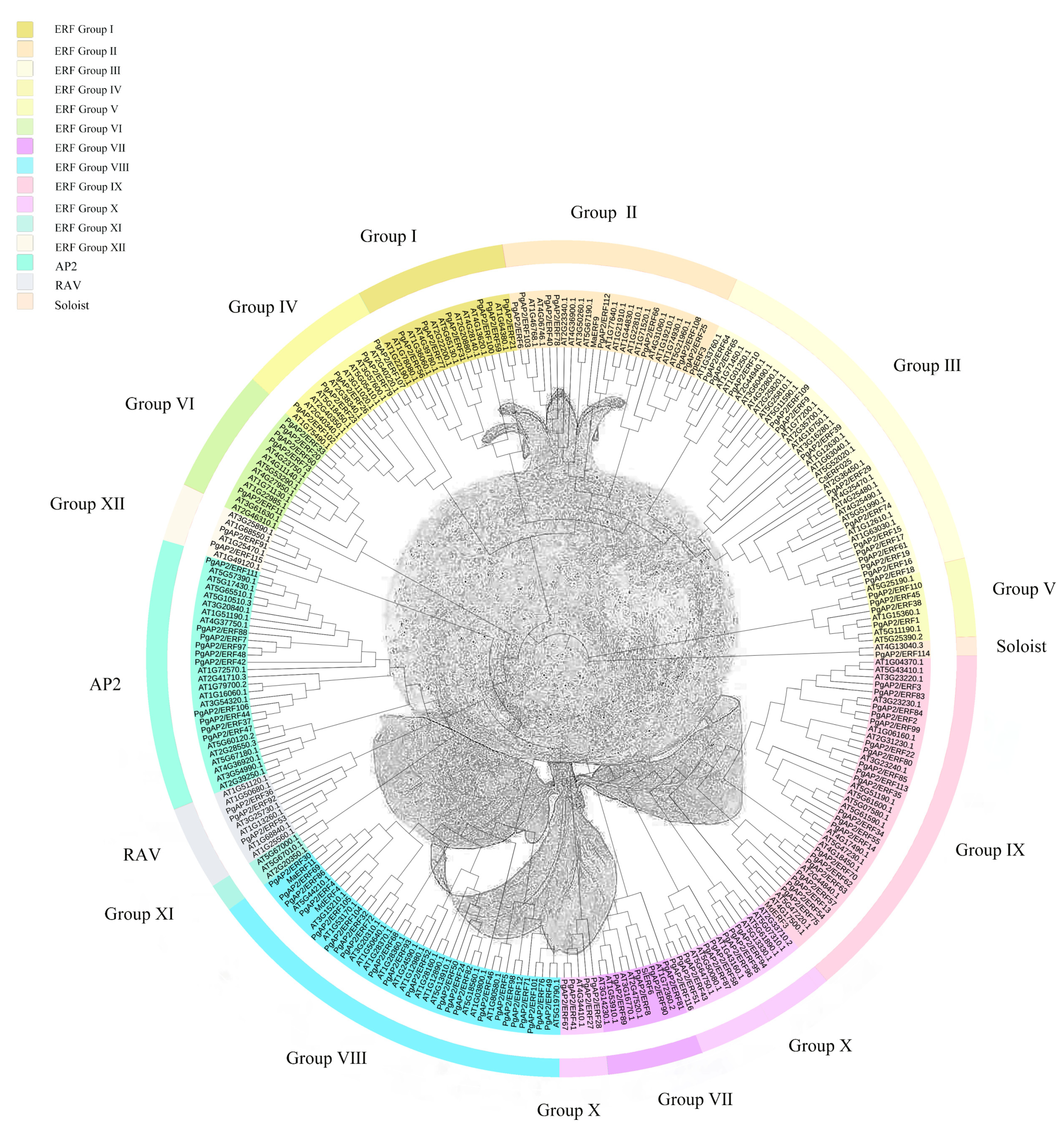 Genes 13 00895 g001