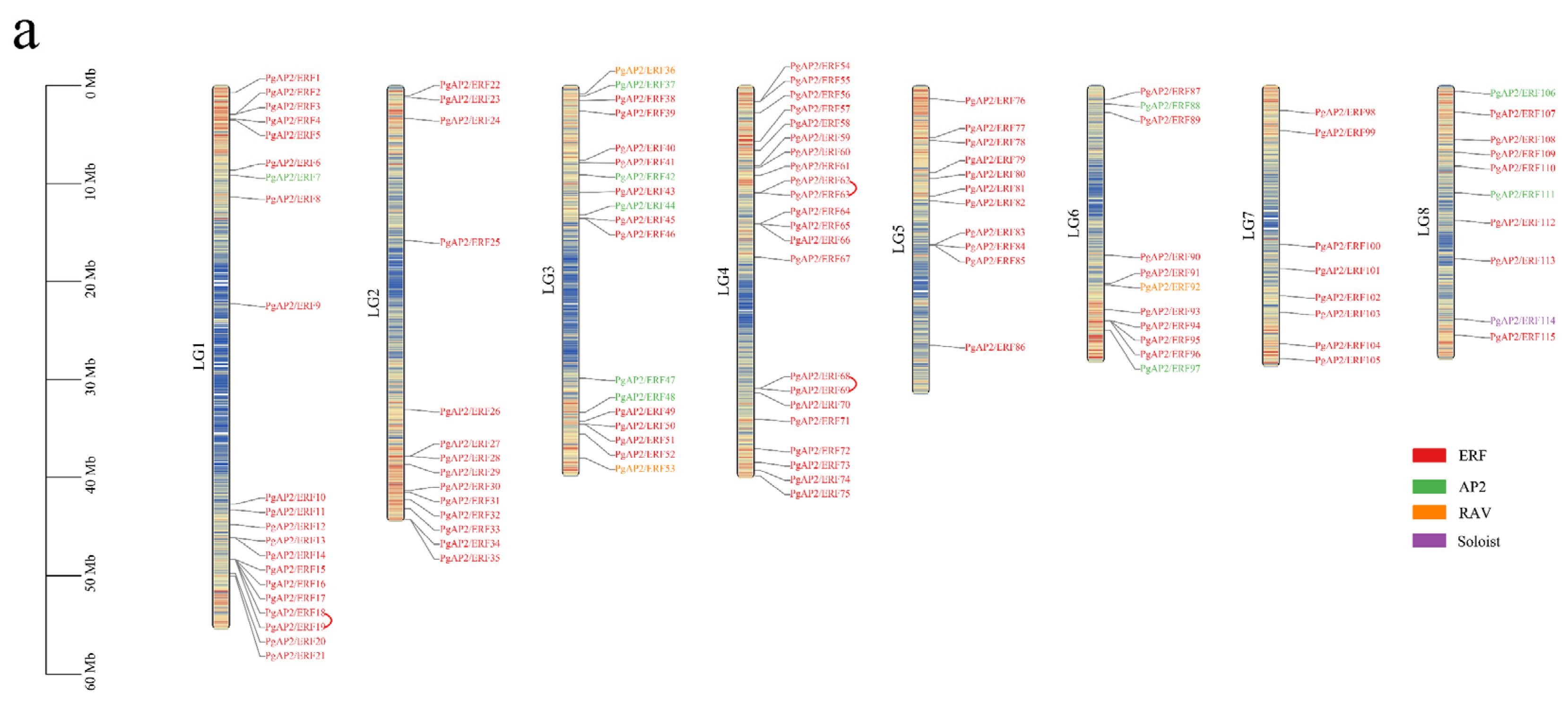 Genes 13 00895 g003a