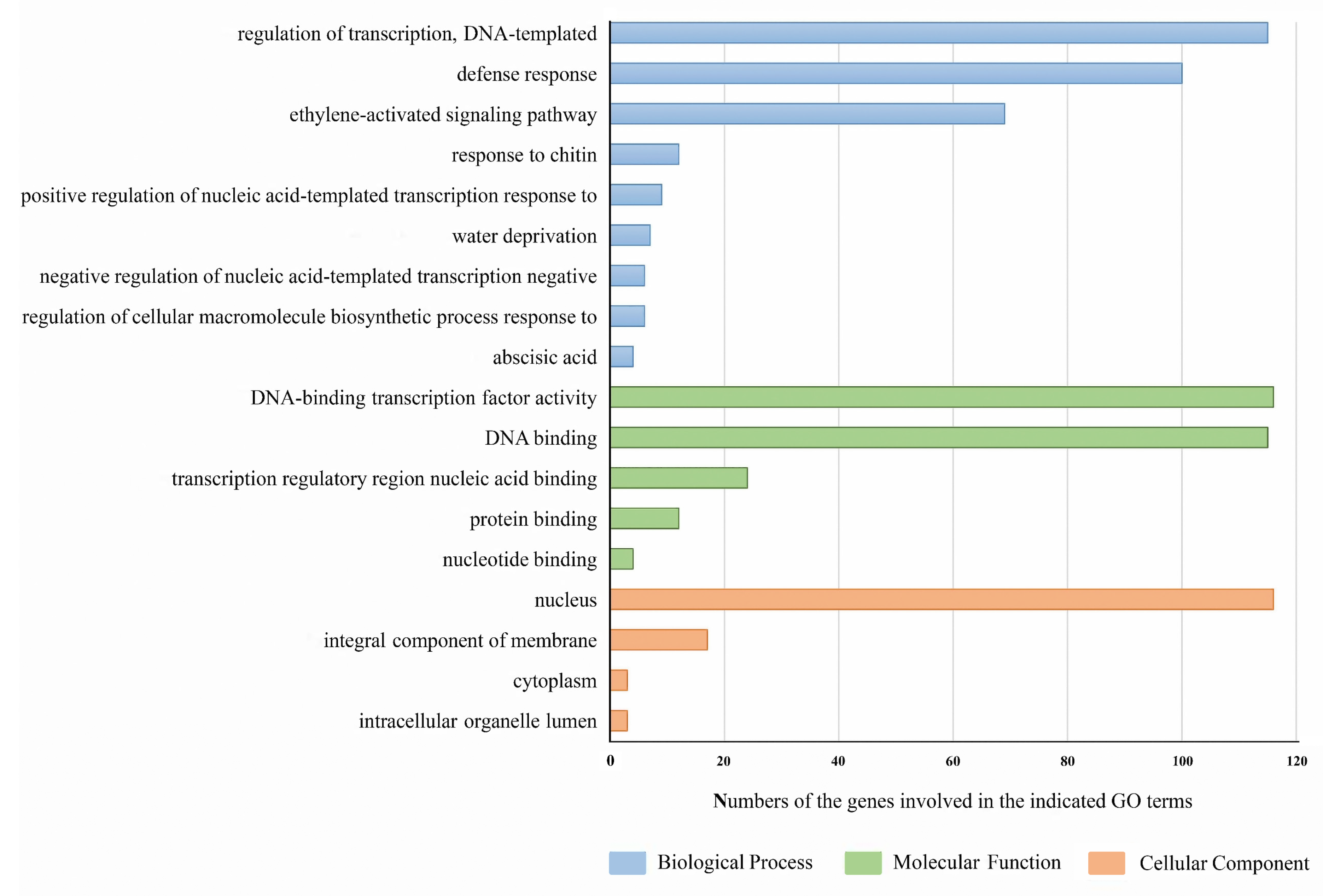 Genes 13 00895 g006