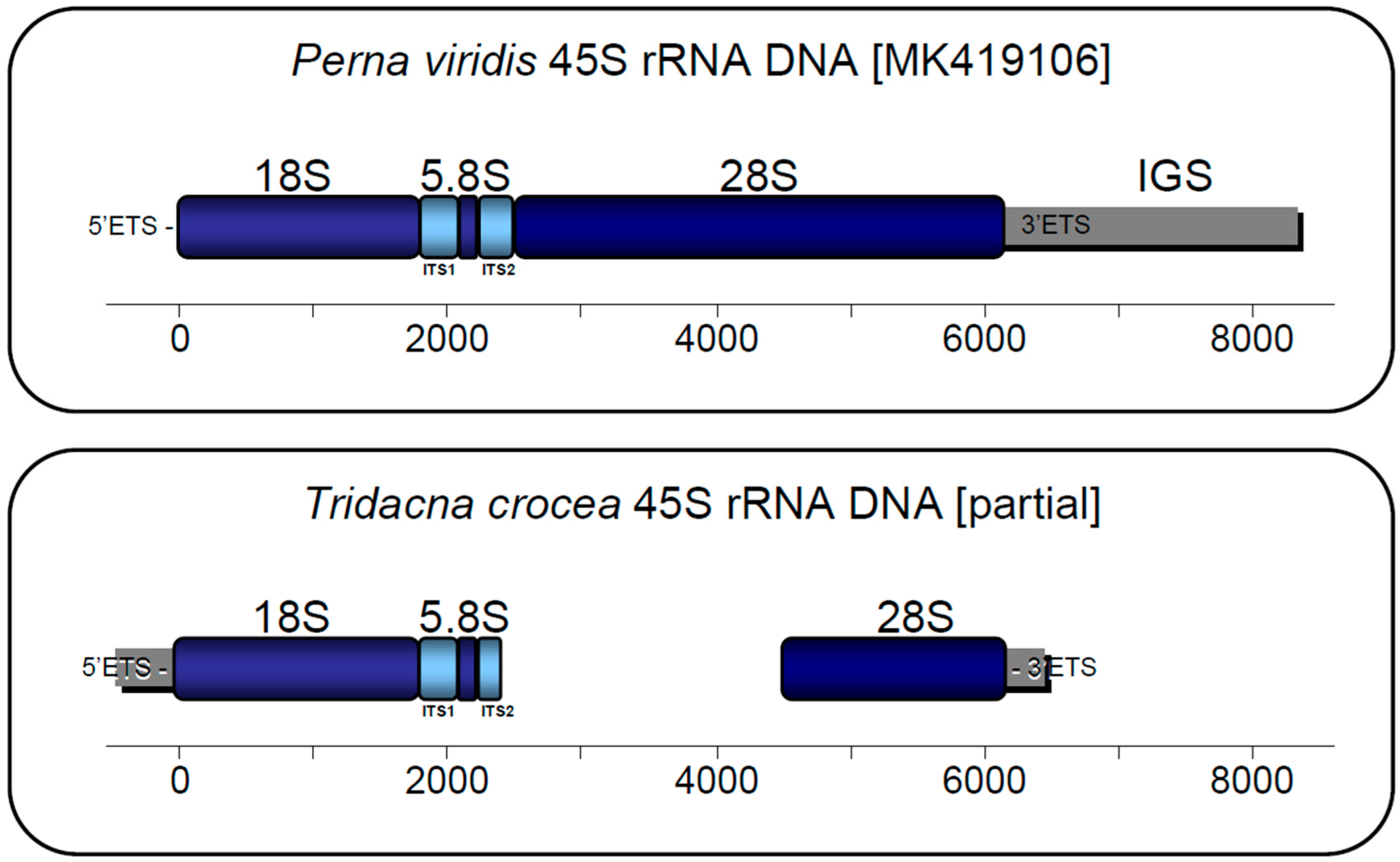 Genes 13 00903 g003